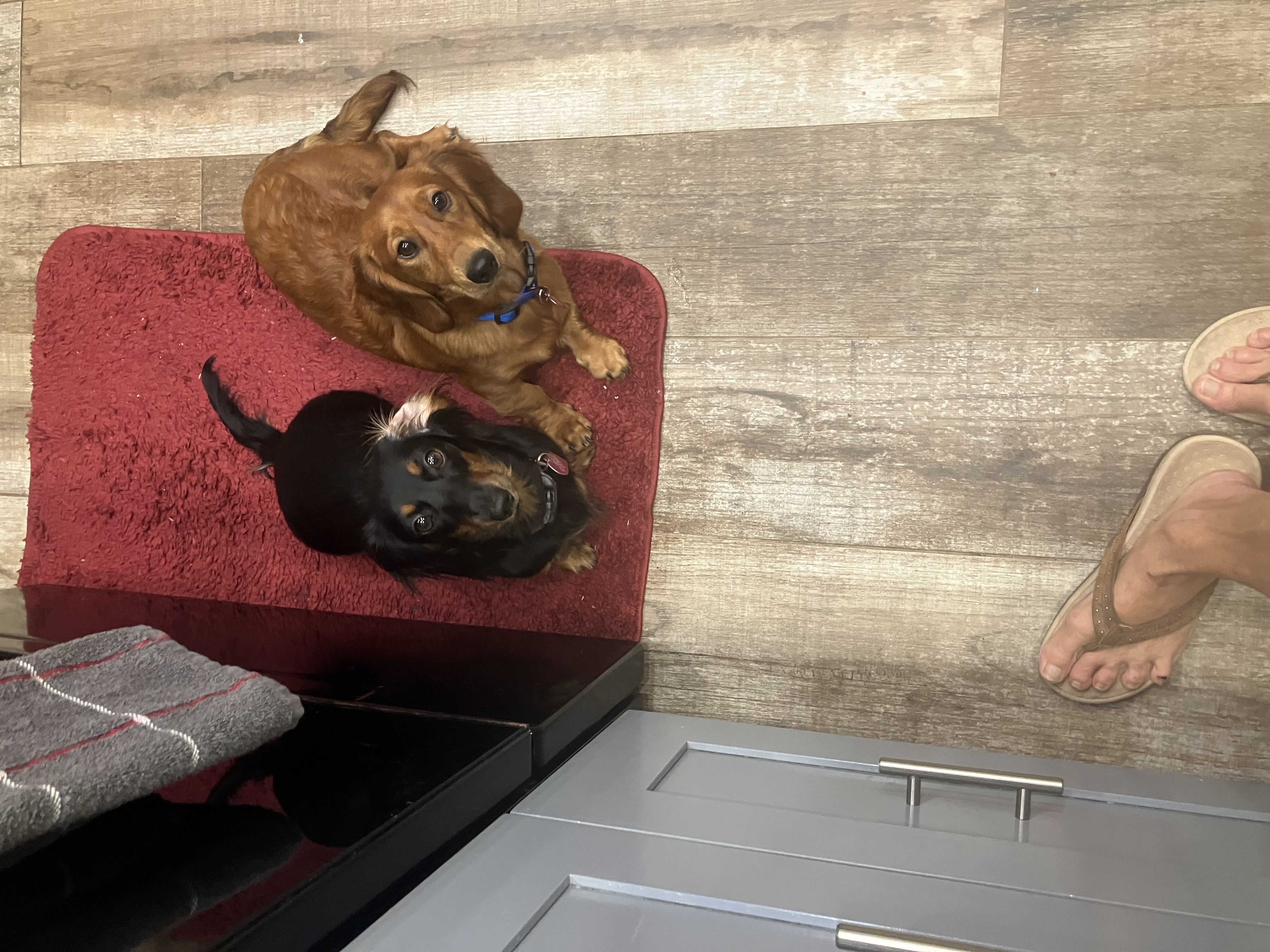 Photo Review Submission from Dori Valerio