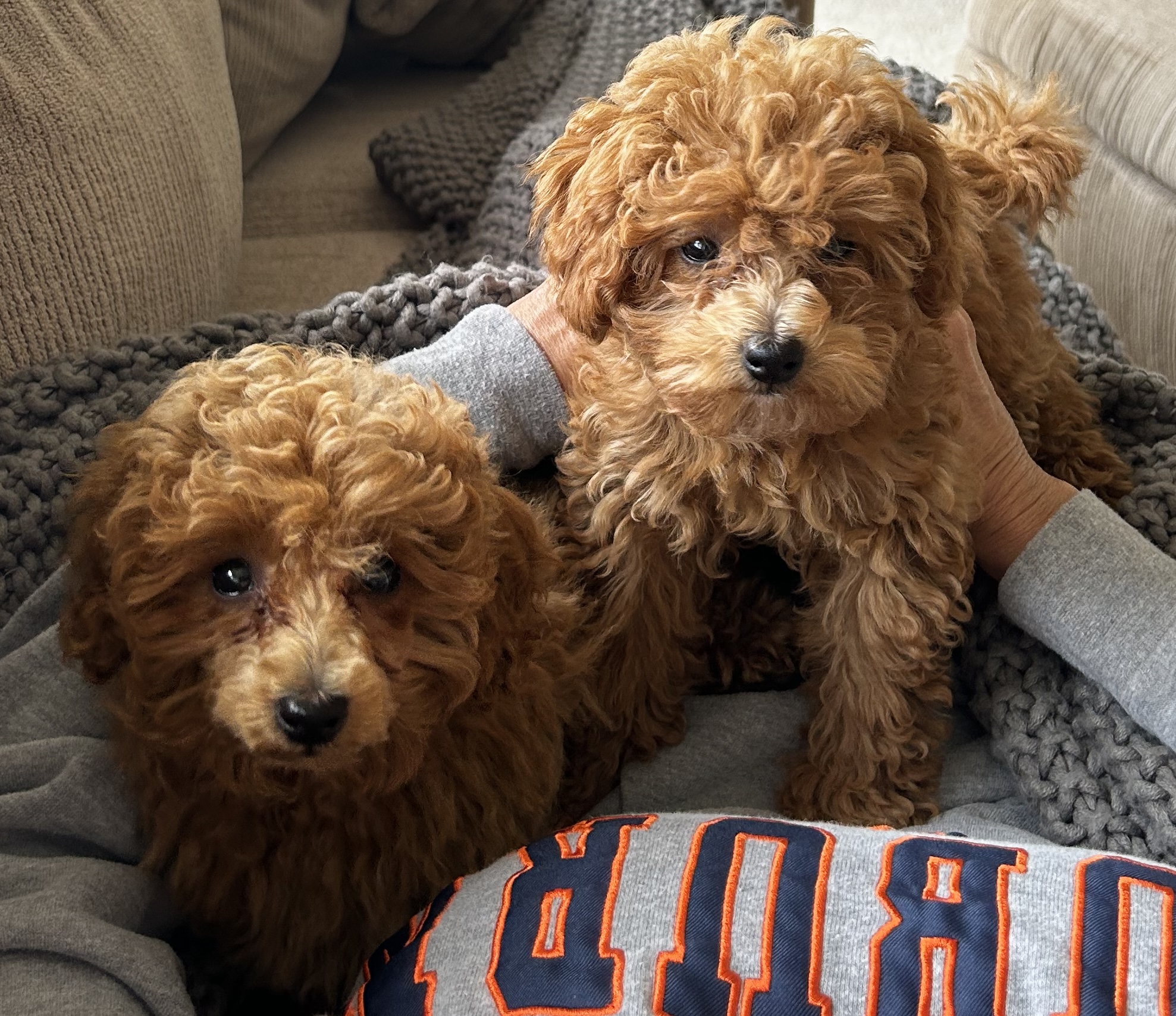 Photo Review Submission from Ann McLaughlin