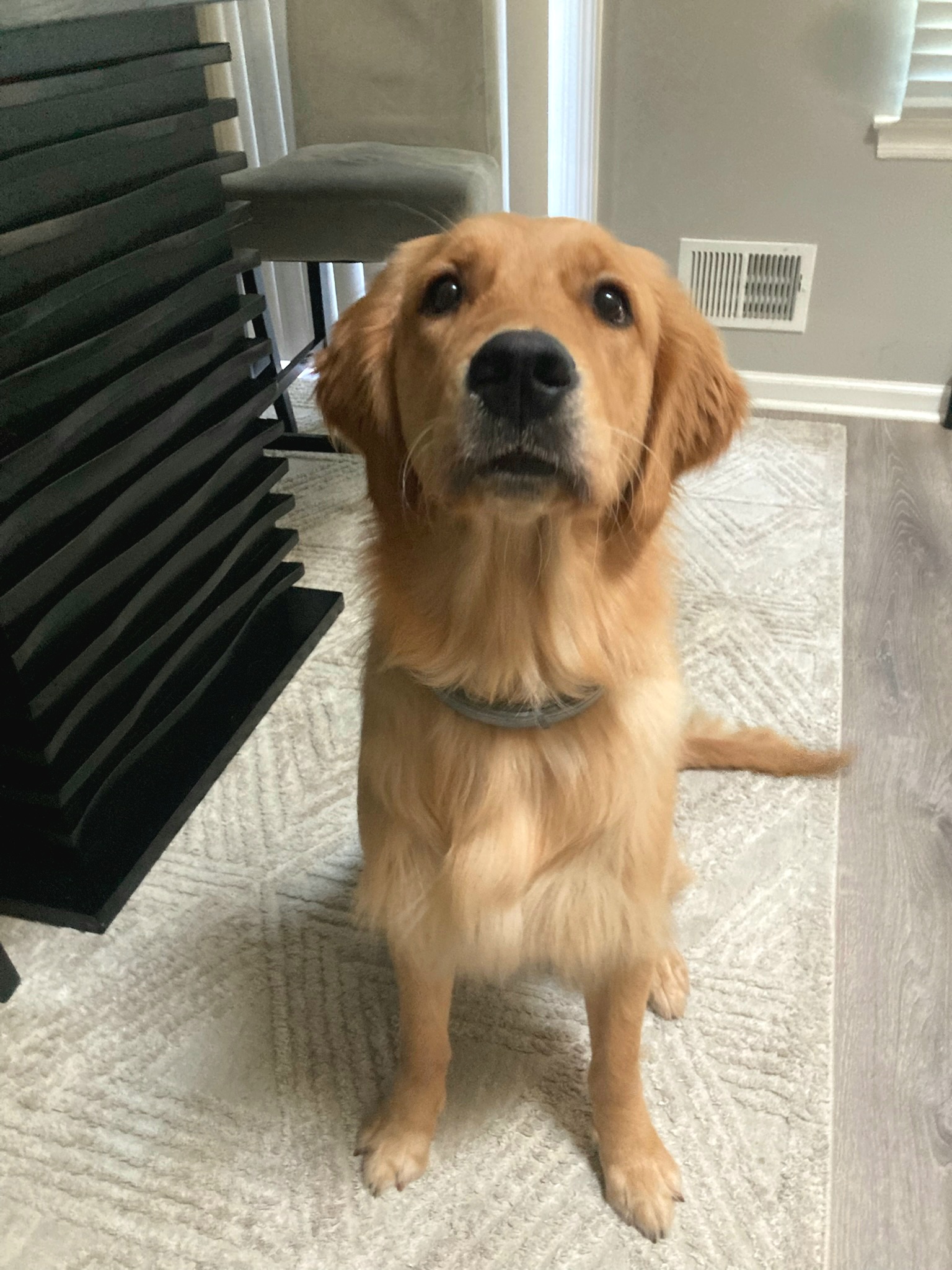 Photo Review Submission from AJ Masi