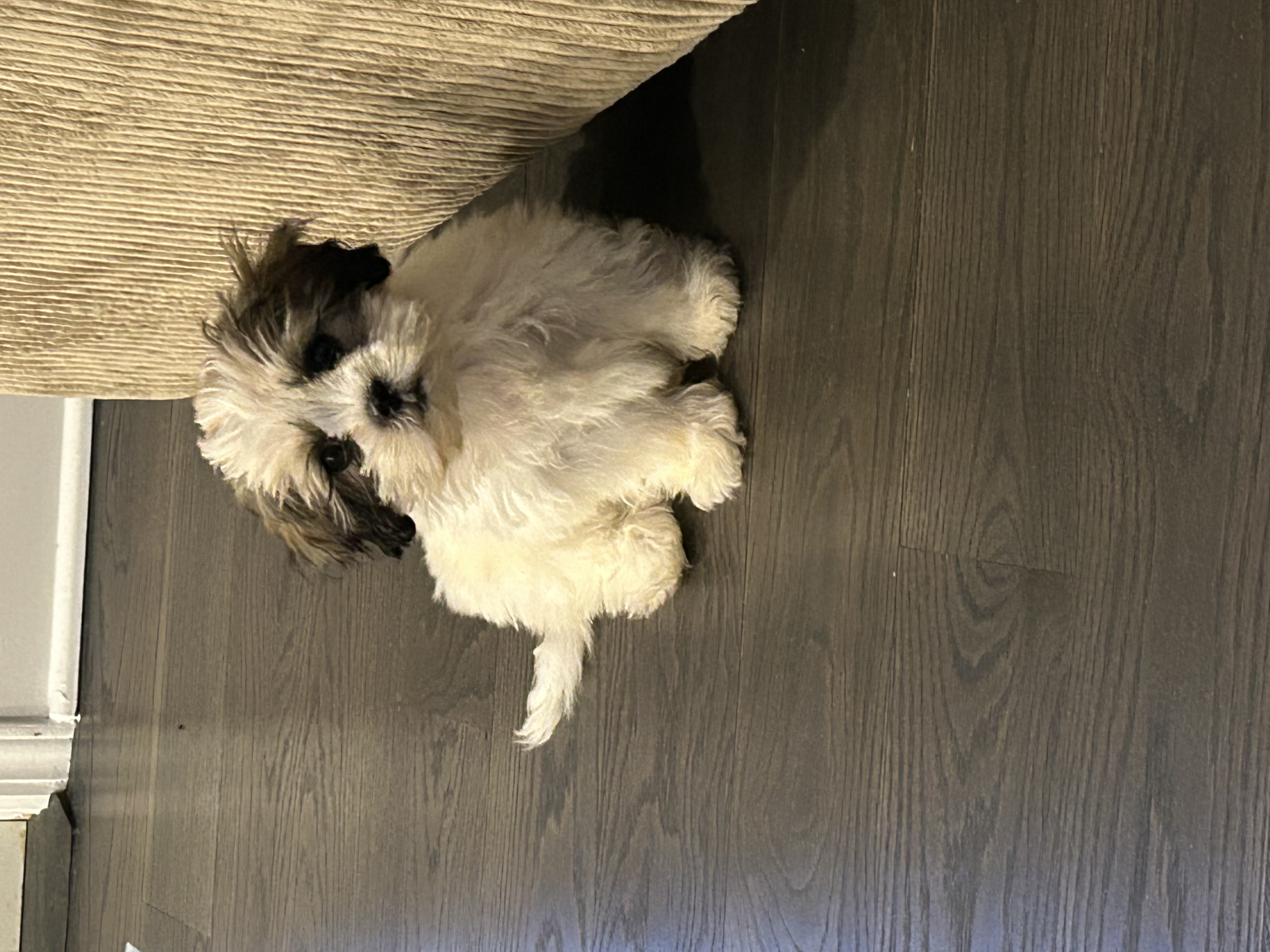 Photo Review Submission from Nancy Wolf