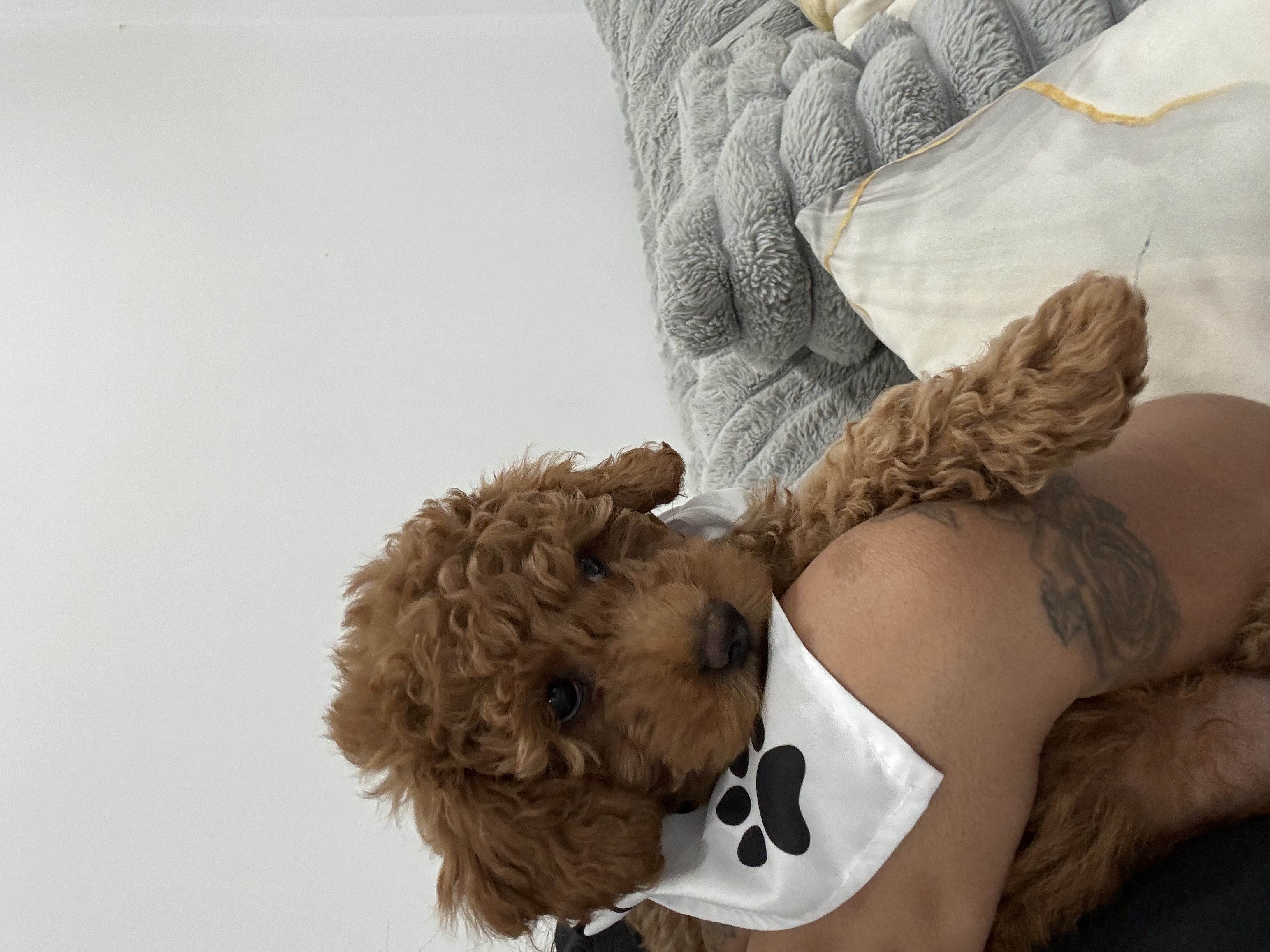 Photo Review Submission from Michelle Ramos