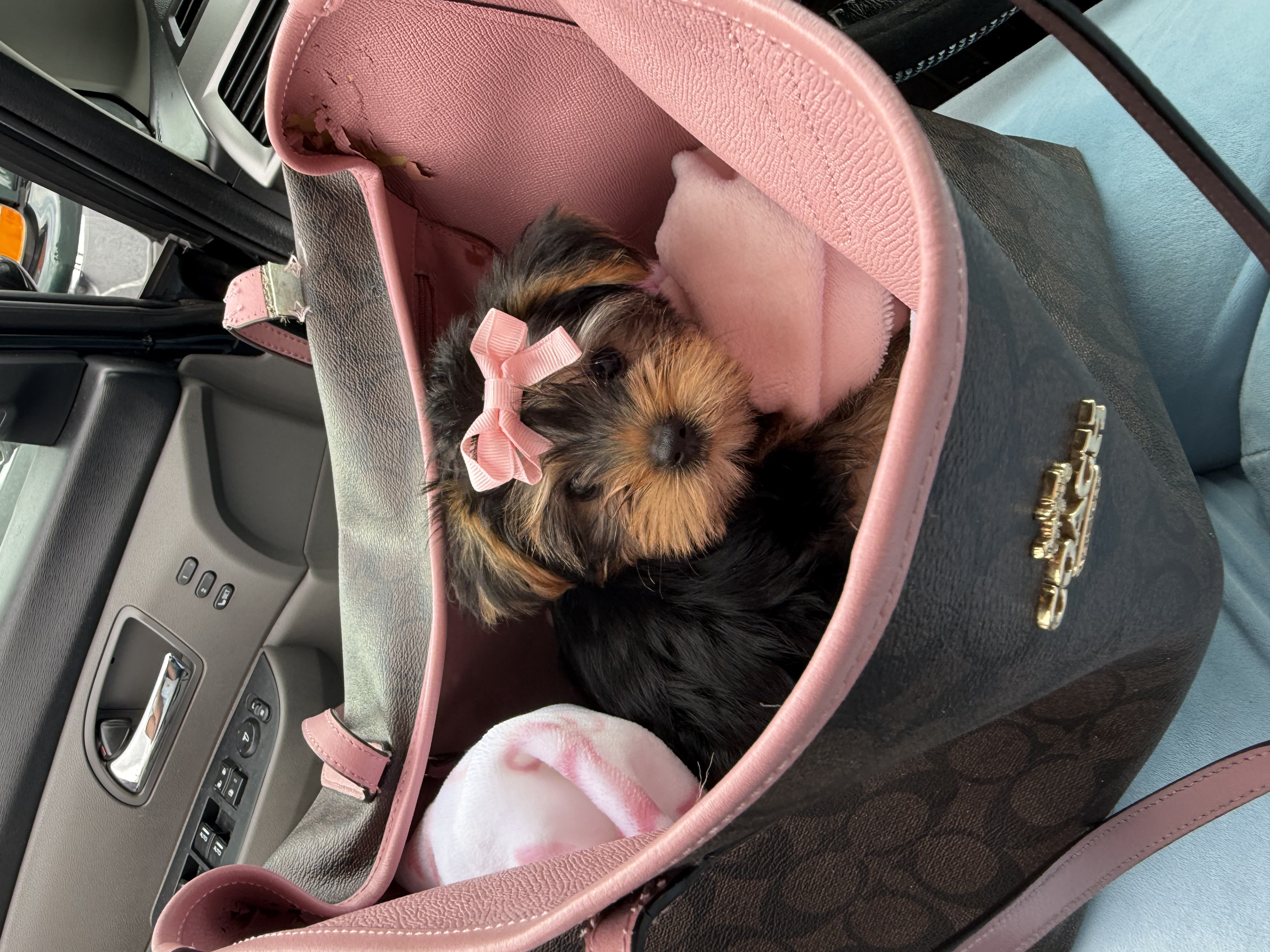 Photo Review Submission from Kristen Little