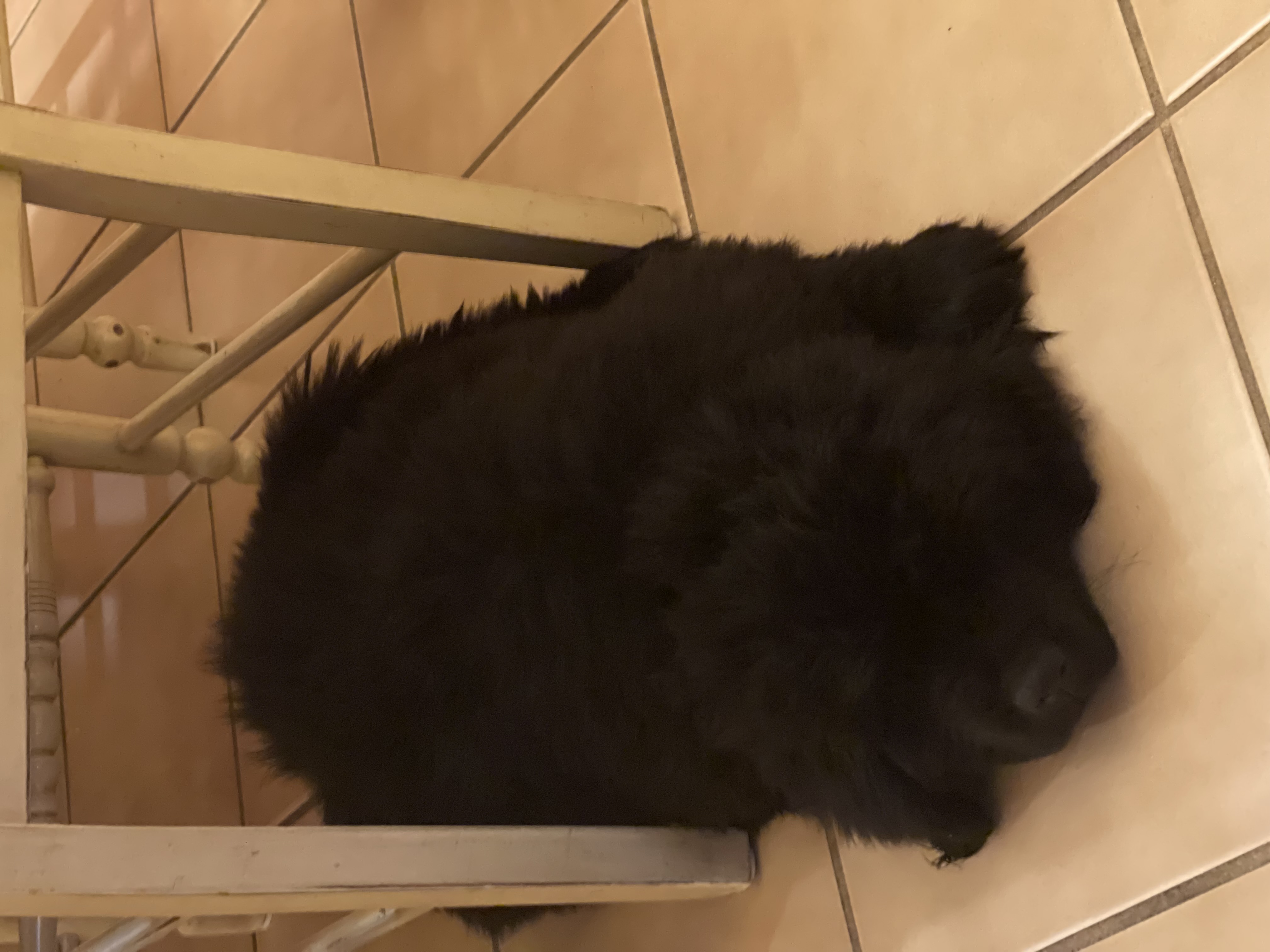 Photo Review Submission from Lynzi Leamy