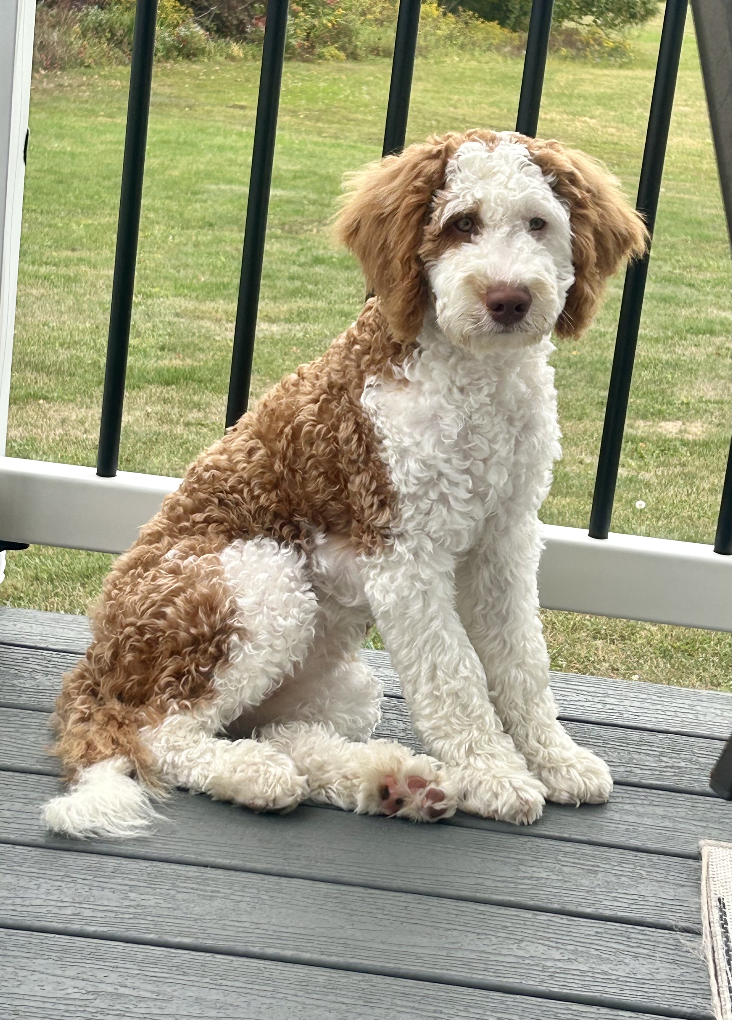 Photo Review Submission from Susan Norton