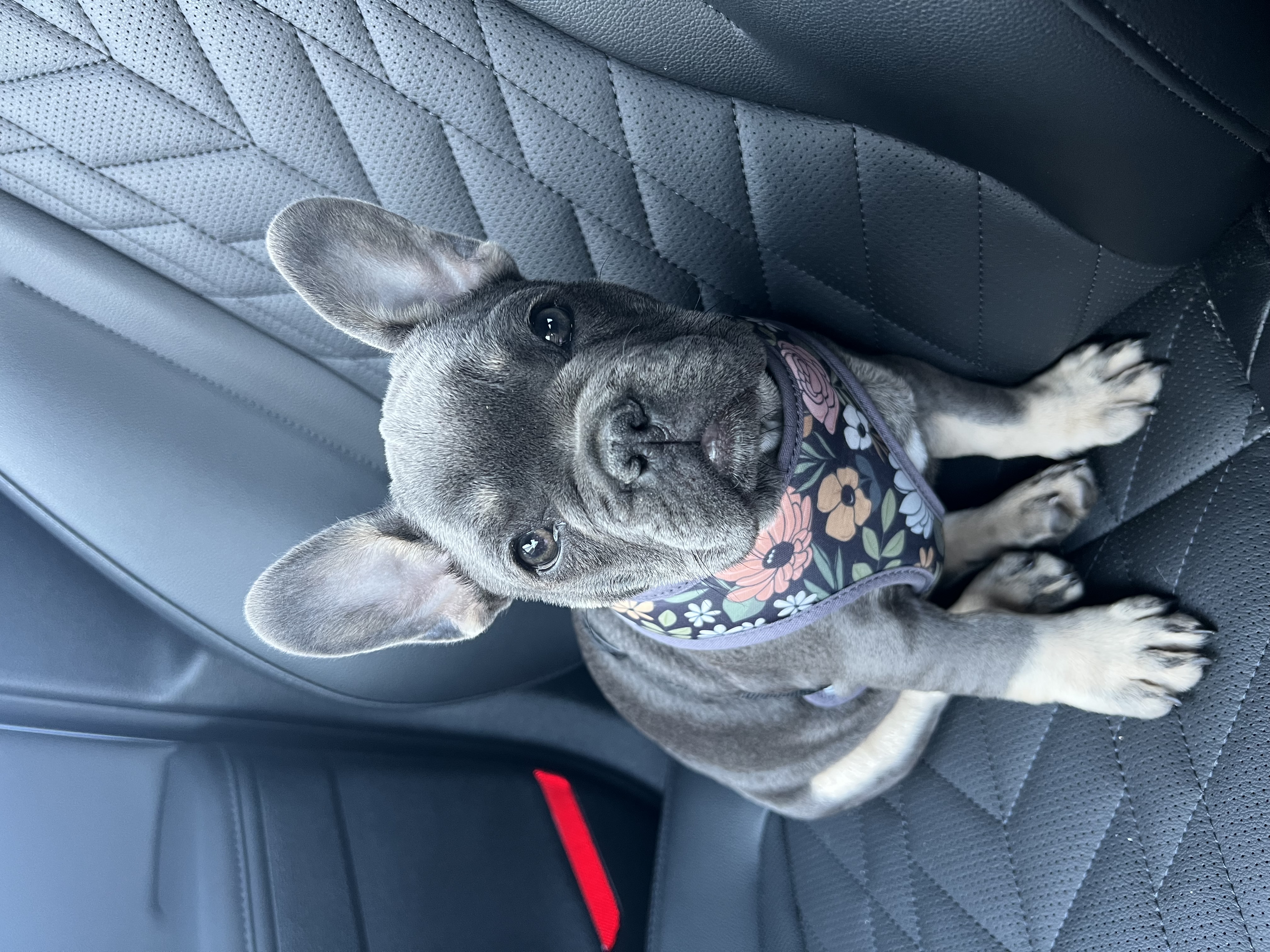 Photo Review Submission from Brieana Meshko