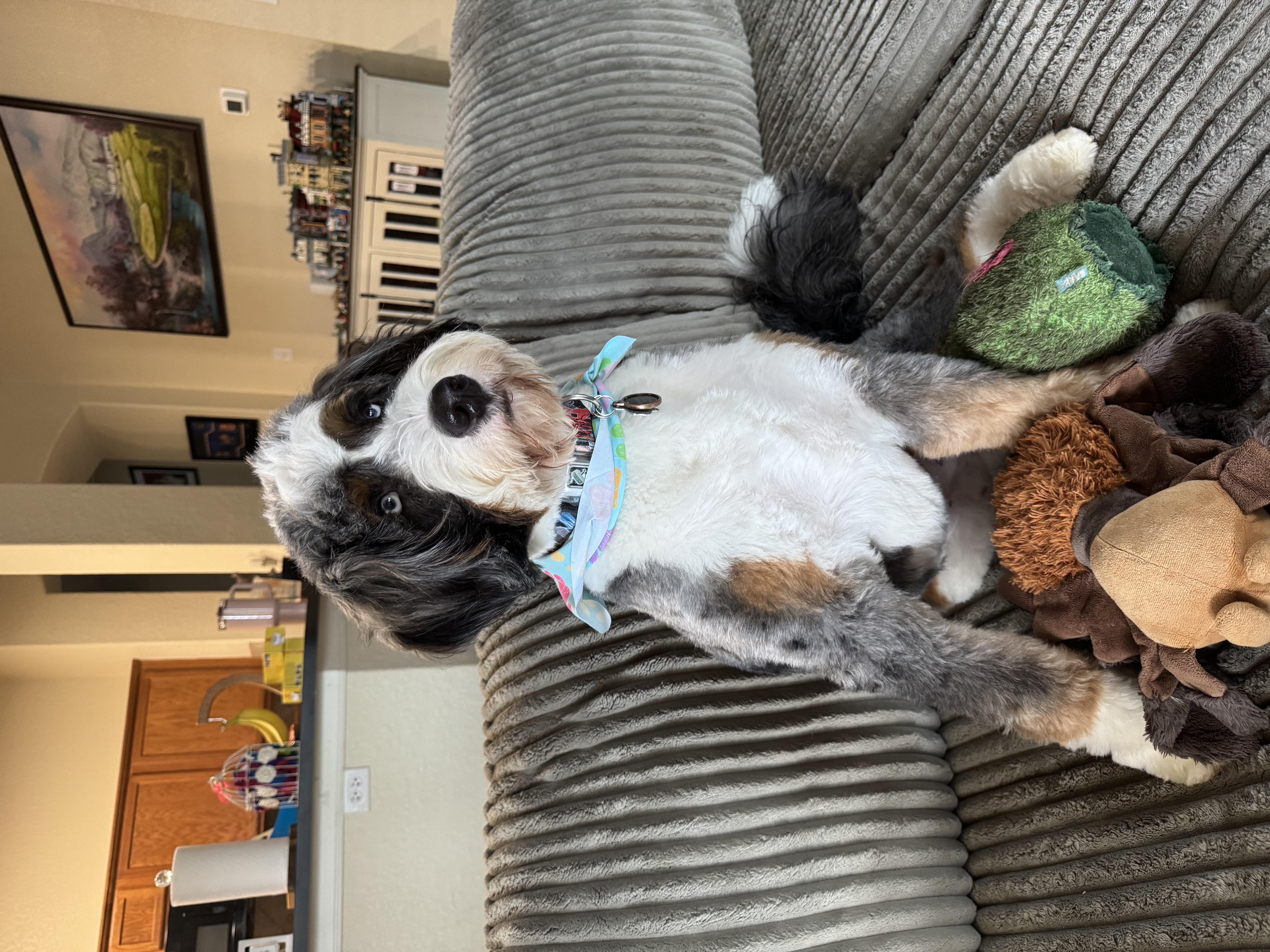 Photo Review Submission from Tamara Ellis