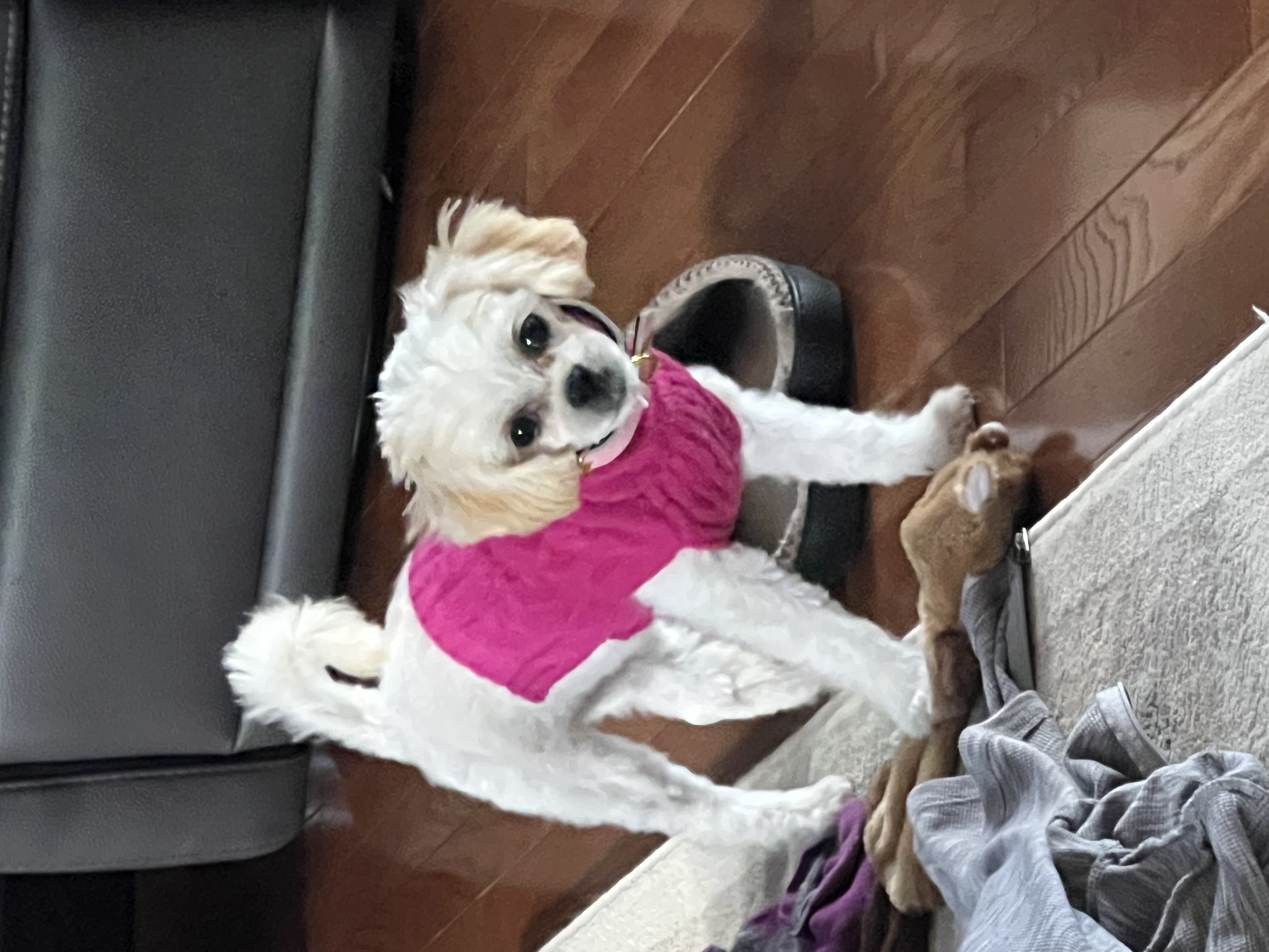 Photo Review Submission from Paul Highland