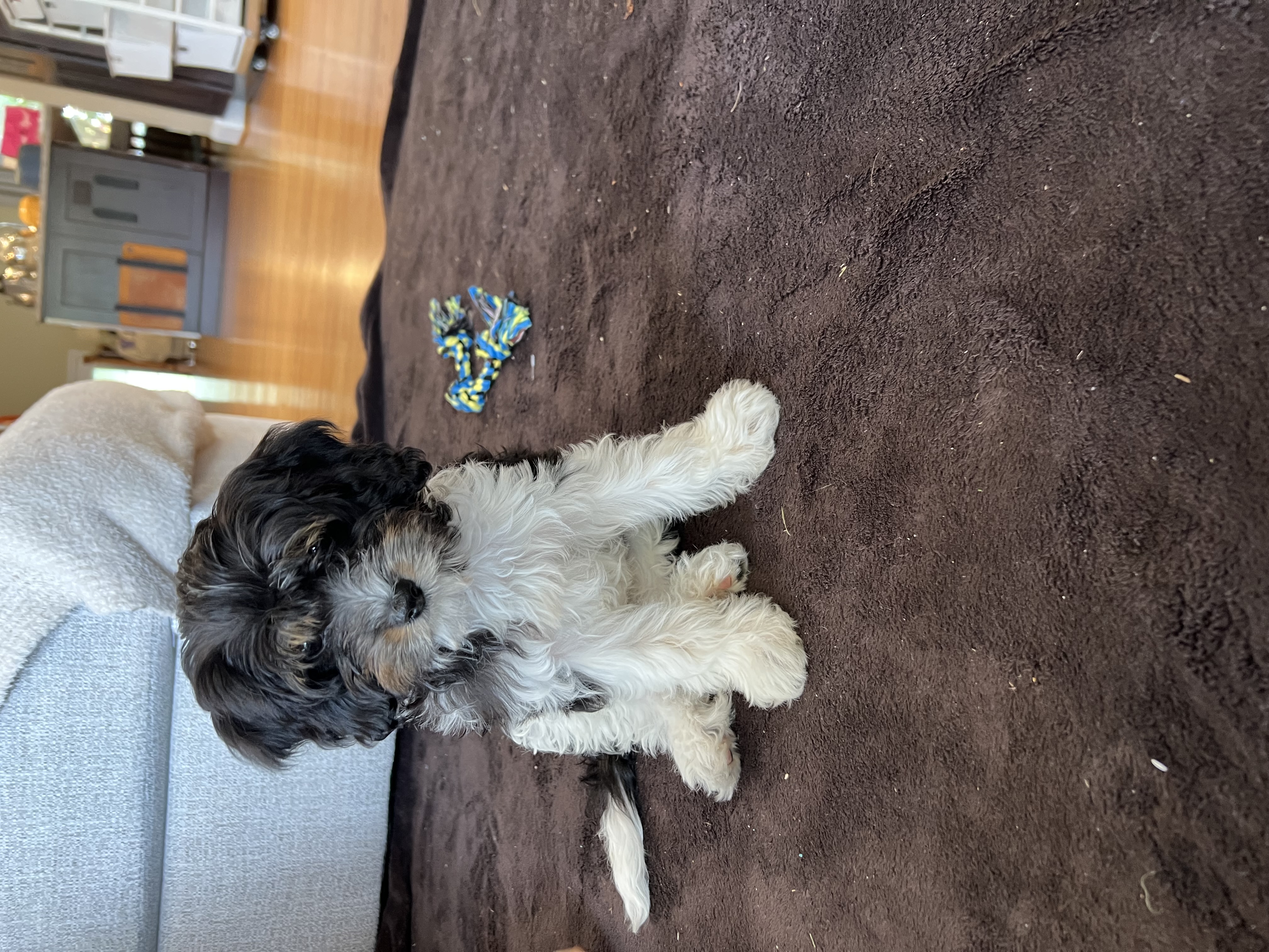 Photo Review Submission from Denise Maul