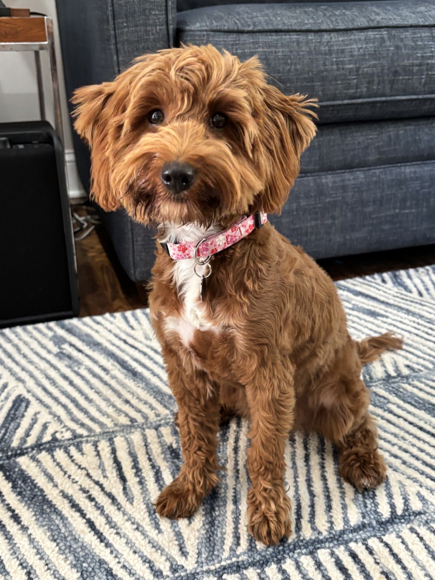 Photo Review Submission from Elizabeth Shane