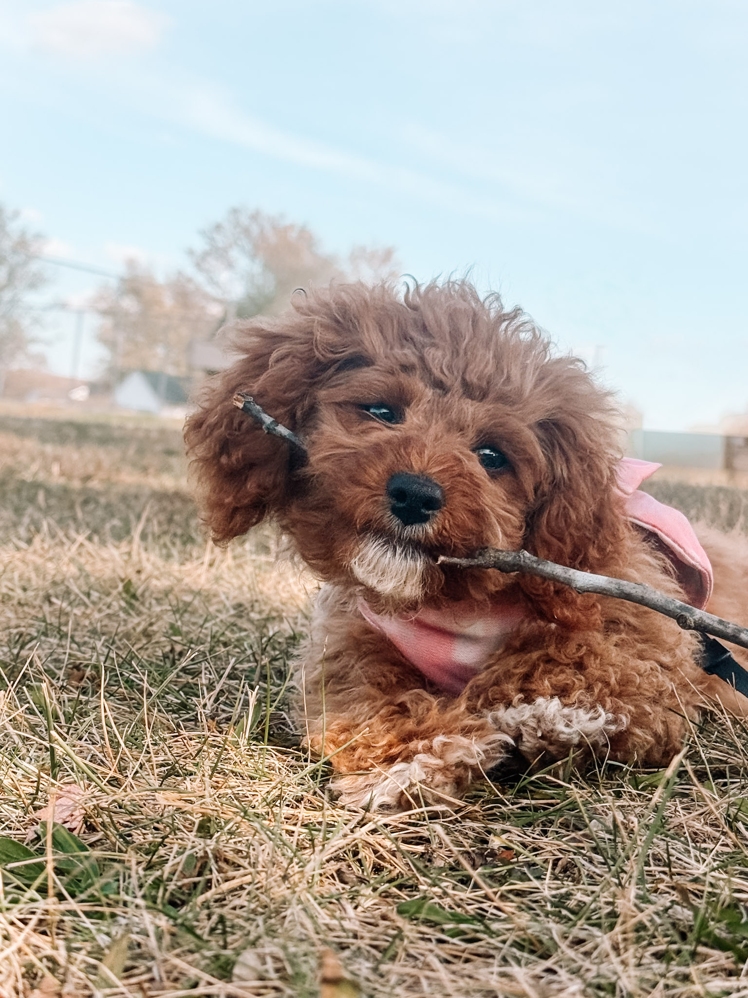 Photo Review Submission from Sarah D