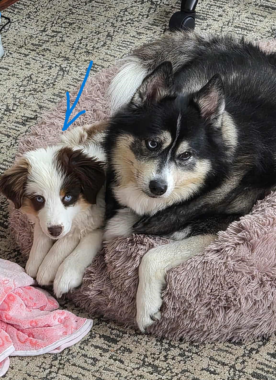 Photo Review Submission from Shirley Olmstead