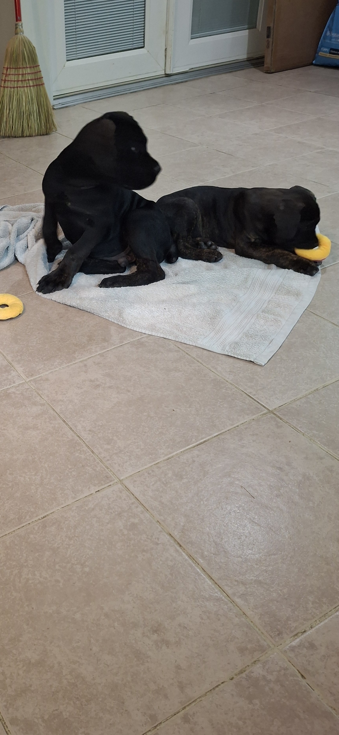 Photo Review Submission from Anita Woodland