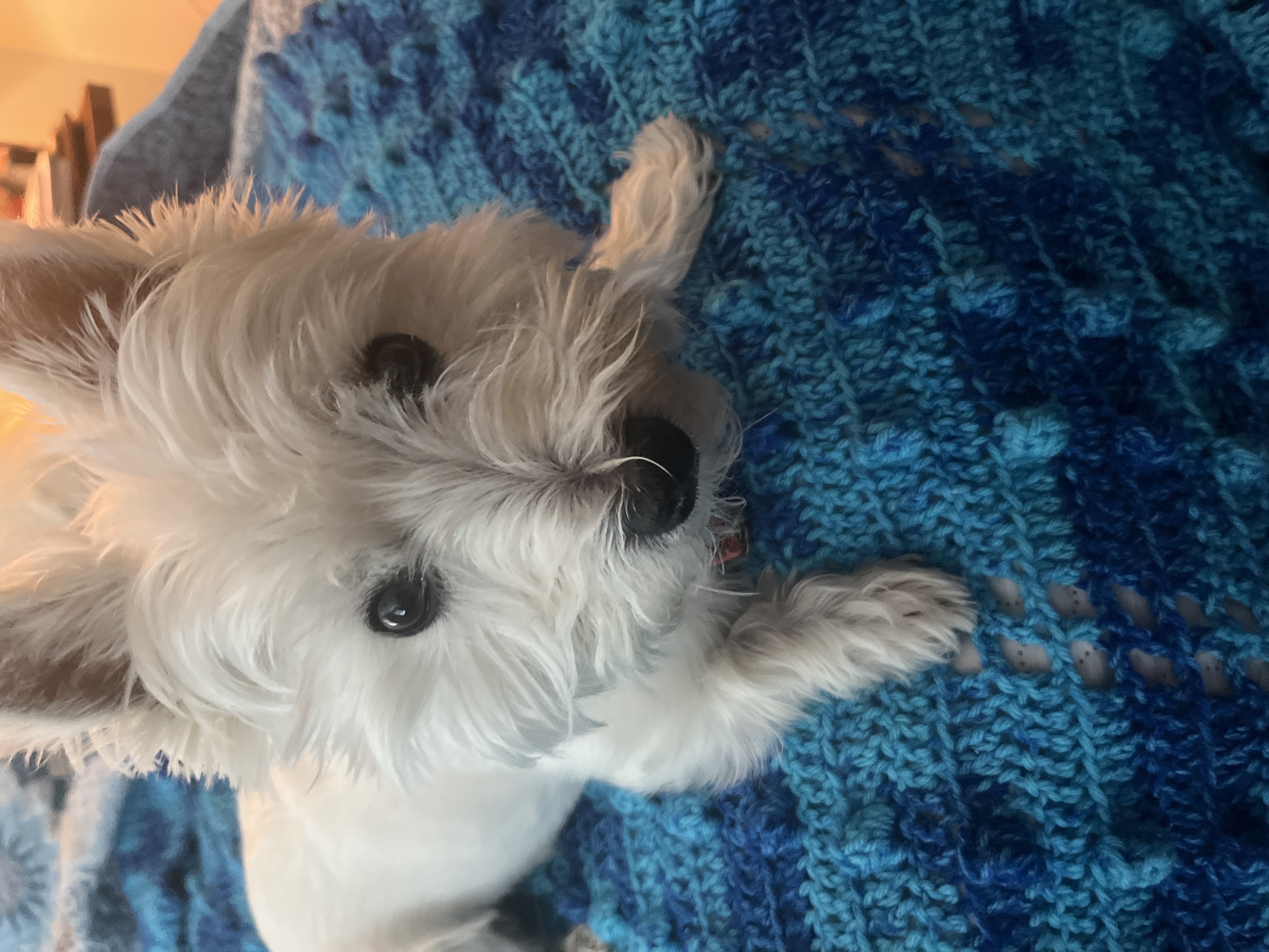 Photo Review Submission from Fran Sangrey