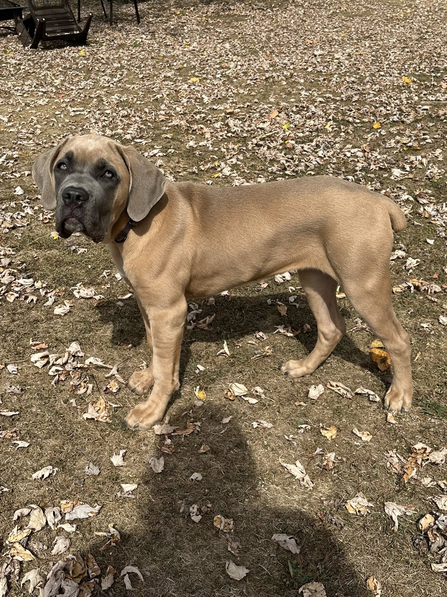 Photo Review Submission from Alyssa Ford