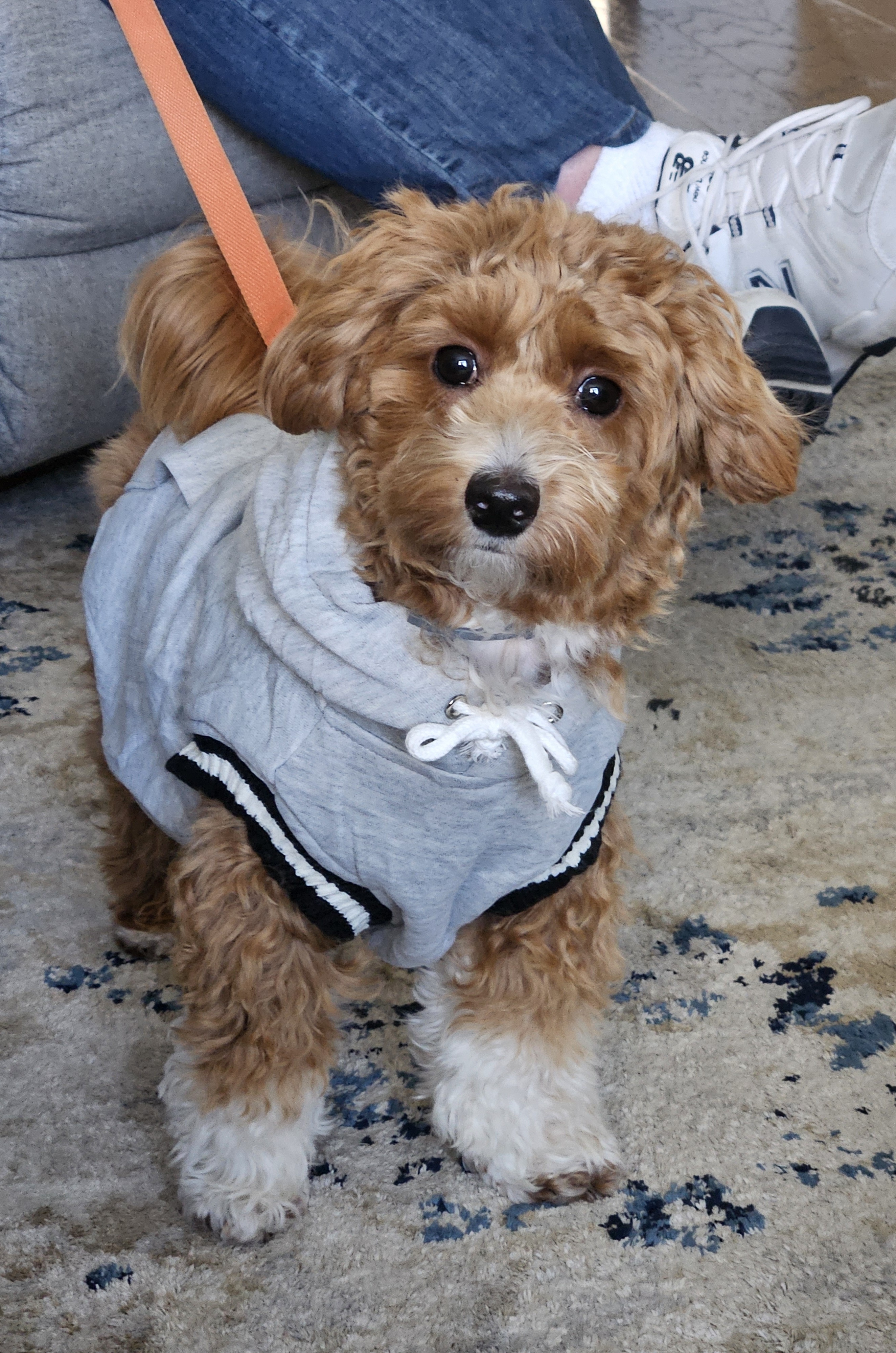 Photo Review Submission from Karen Free