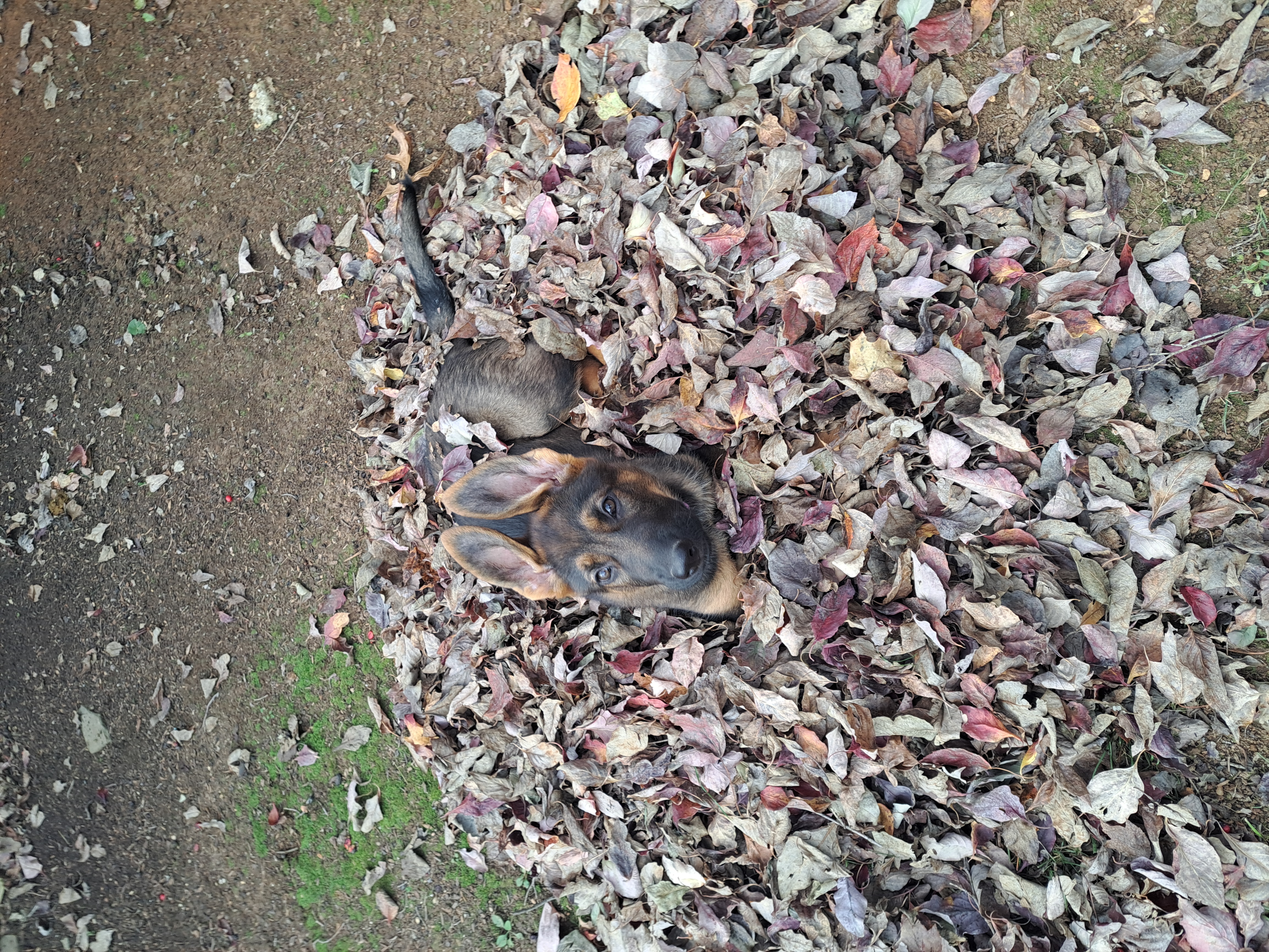 Photo Review Submission from Connie Marlatt