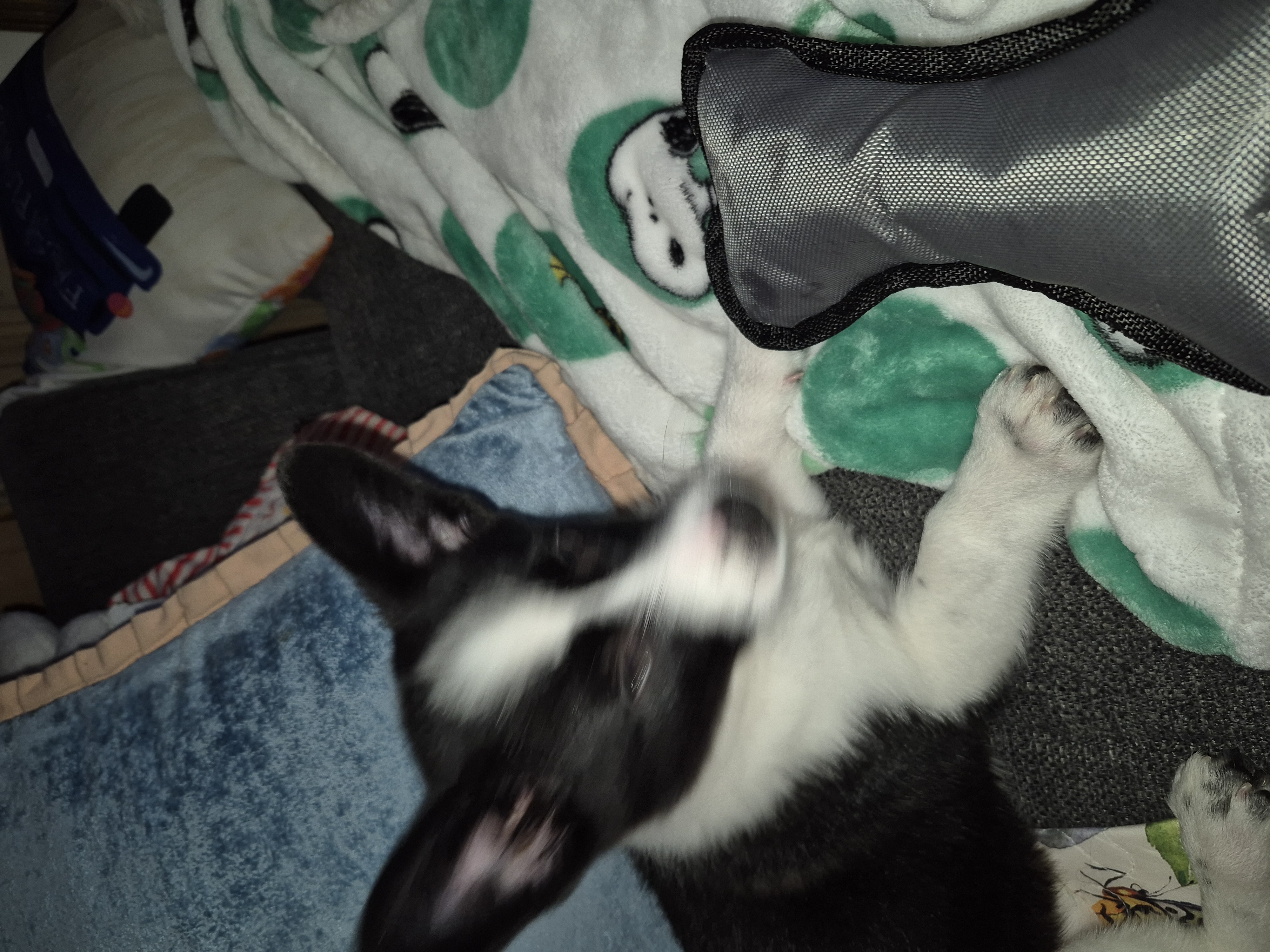 Photo Review Submission from Deanna Ames