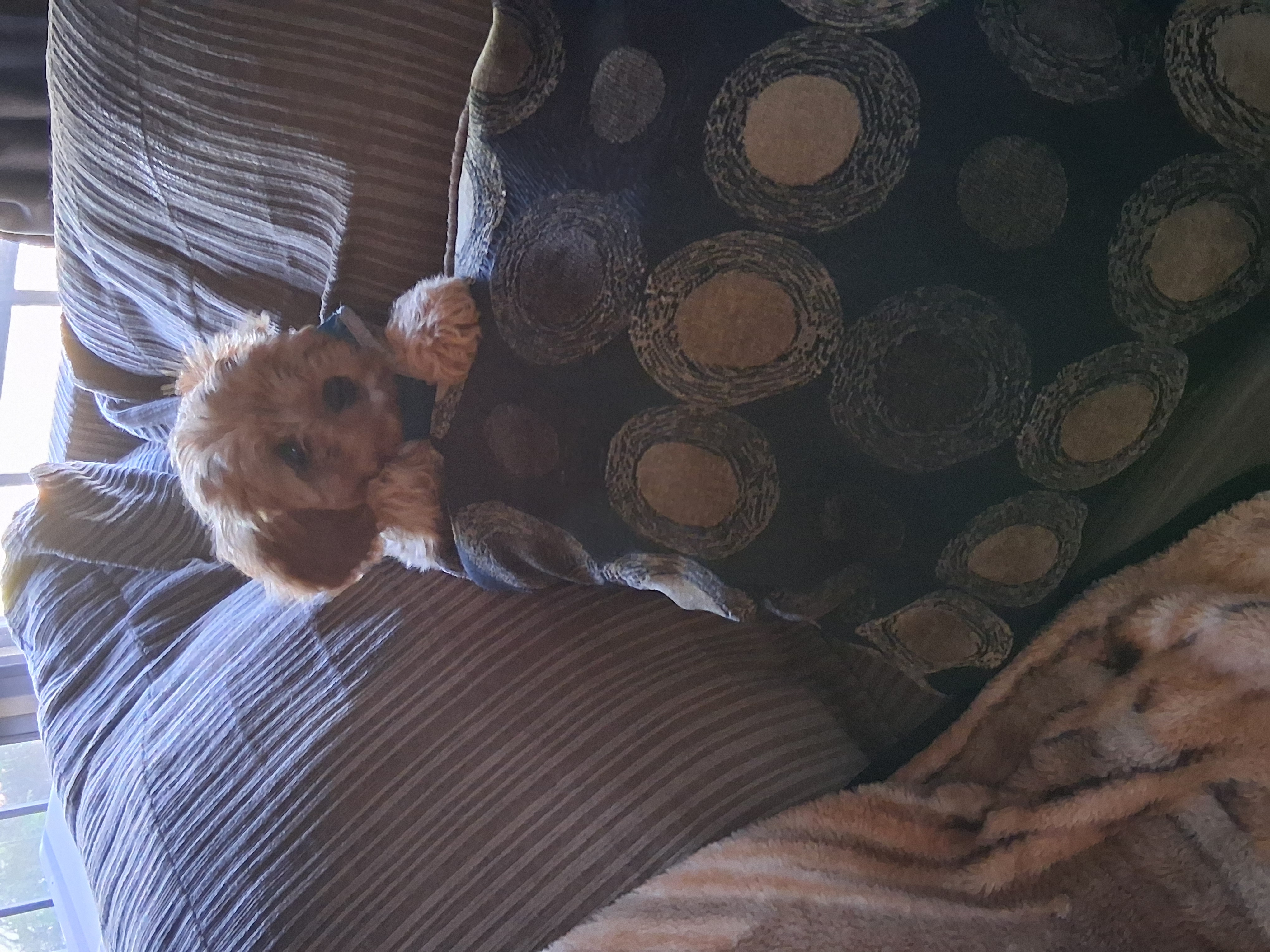 Photo Review Submission from Douglas Ebur