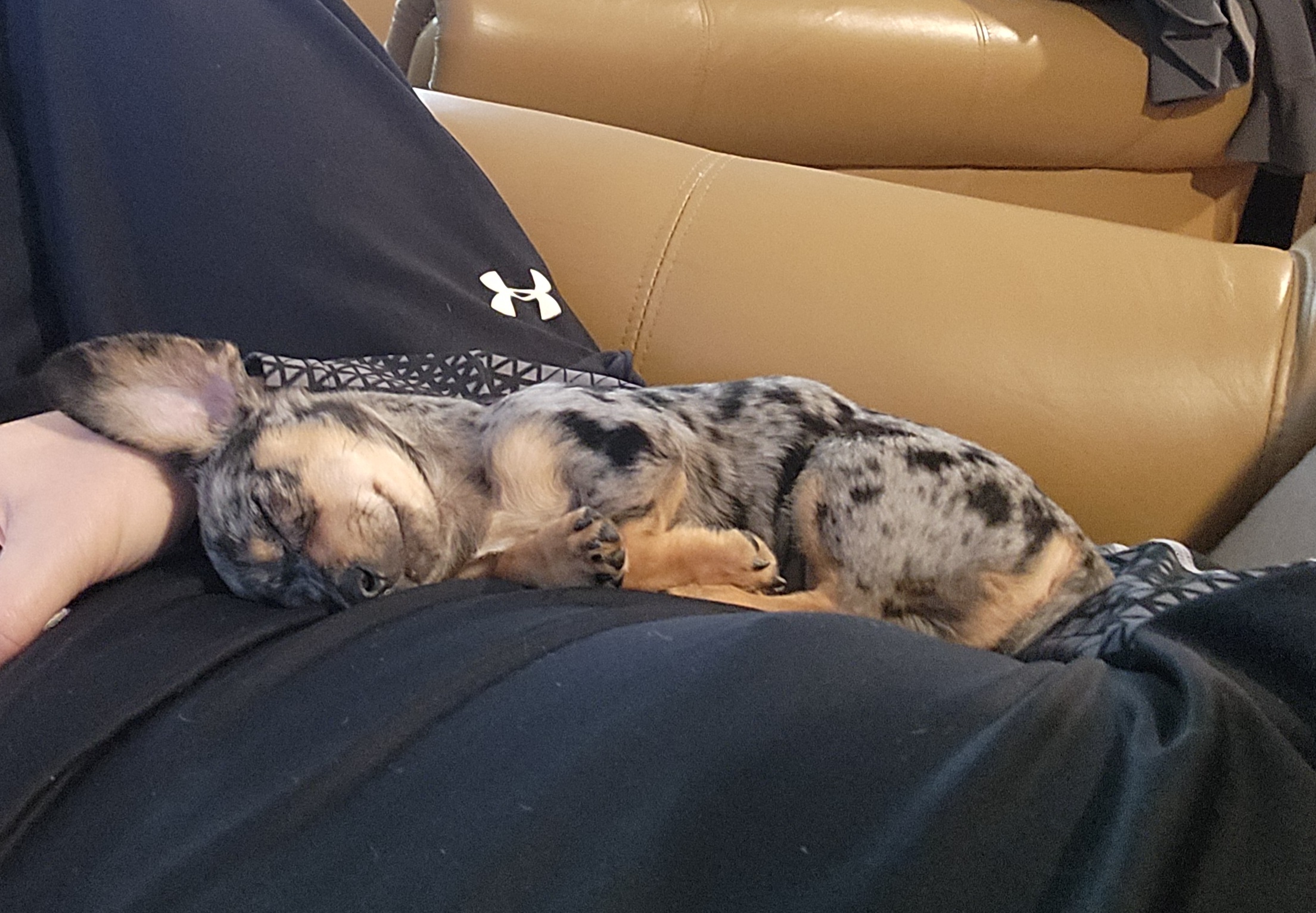 Photo Review Submission from KYLE ROBBINS