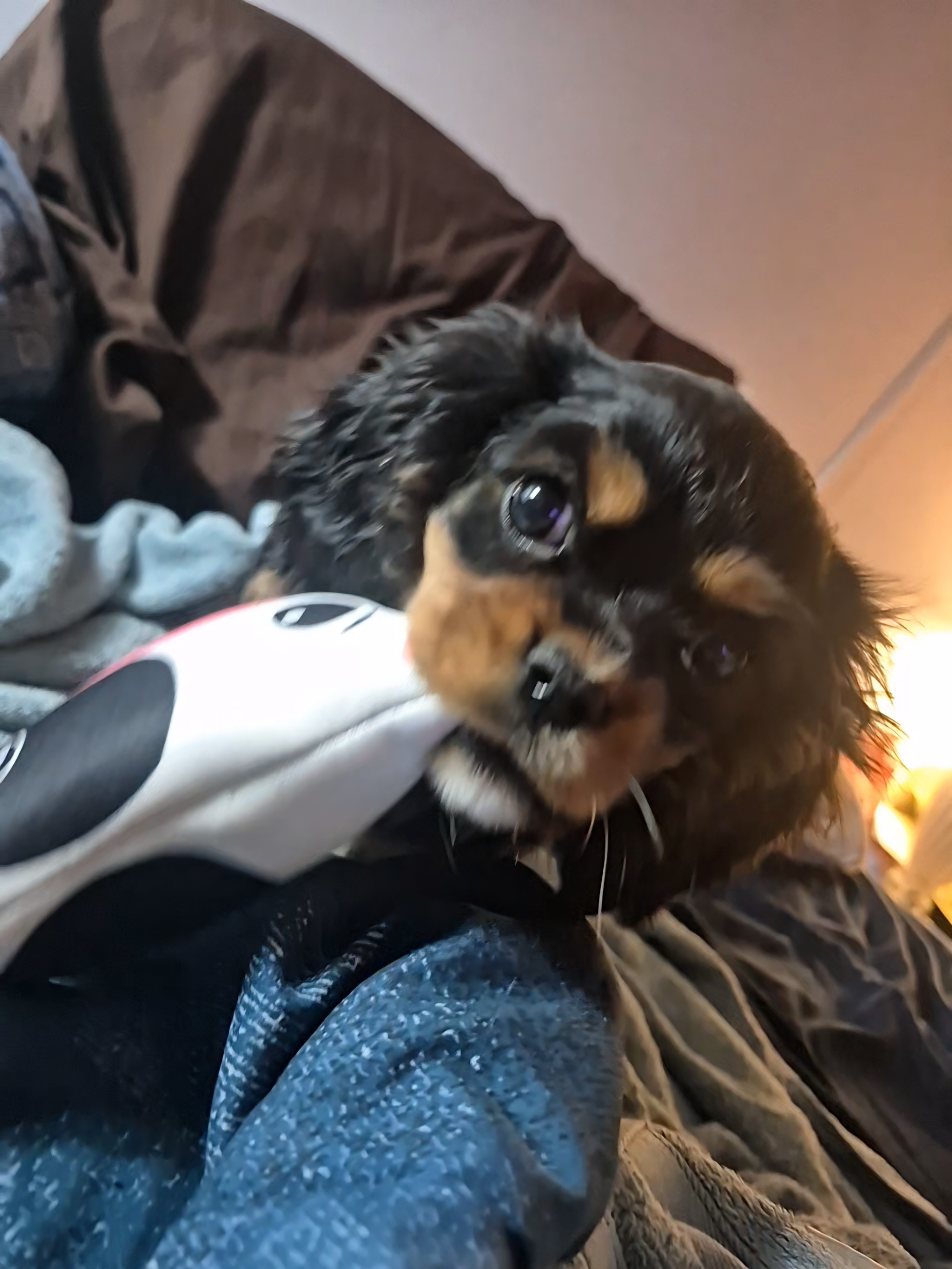 Photo Review Submission from ASHLEY LOWER