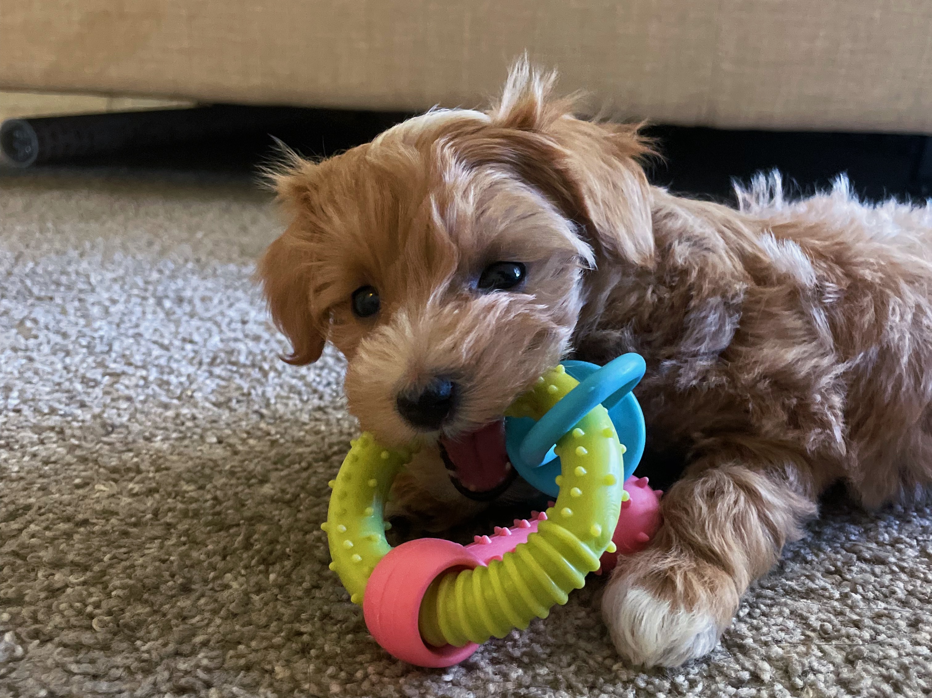 Photo Review Submission from Trinity Misavage