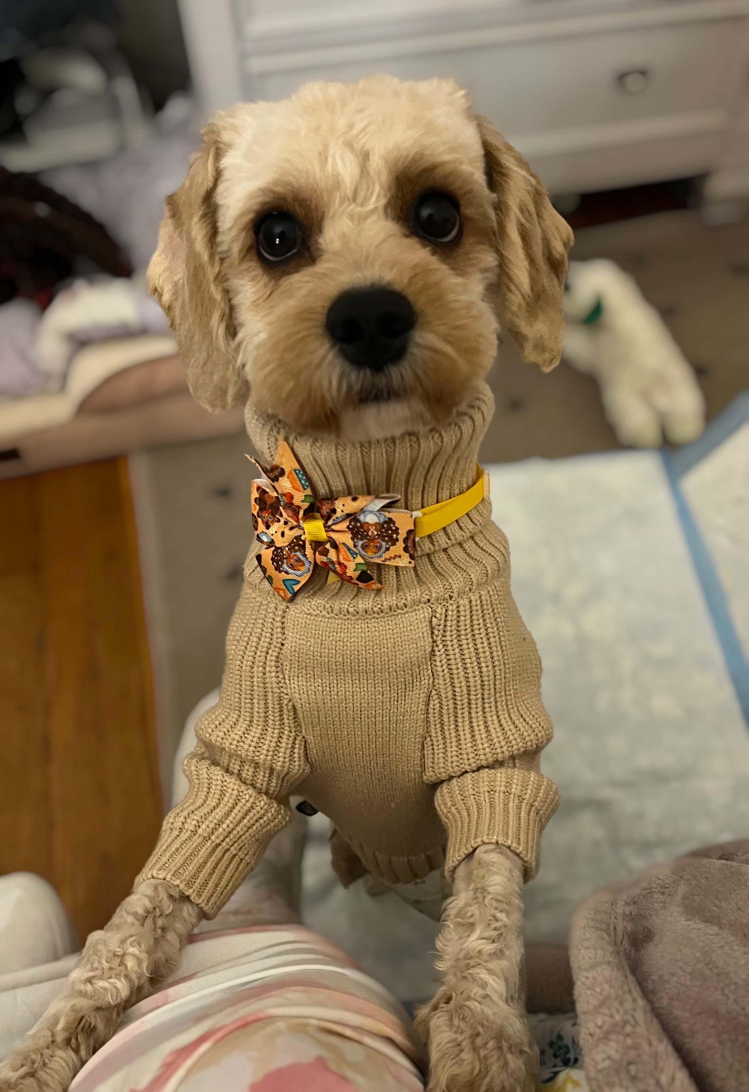 Photo Review Submission from Ayme Talavera