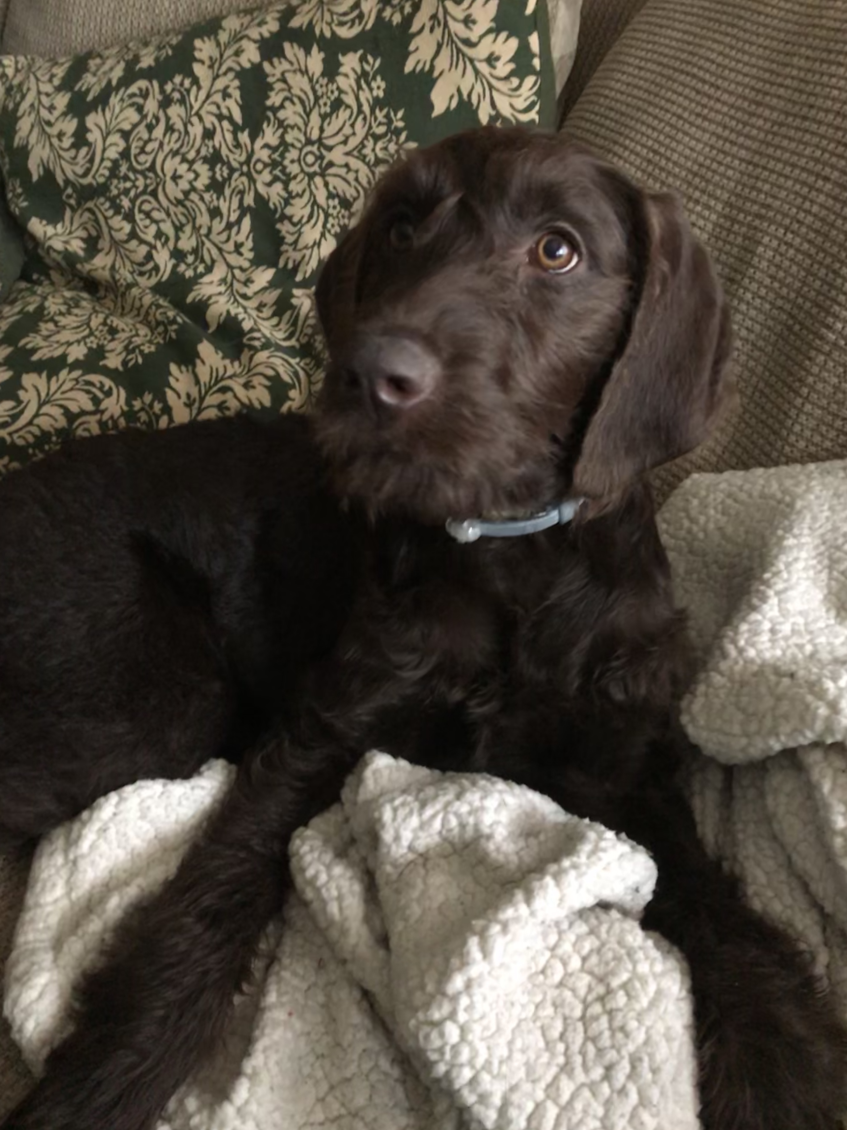 Photo Review Submission from Ruthie Tornetta