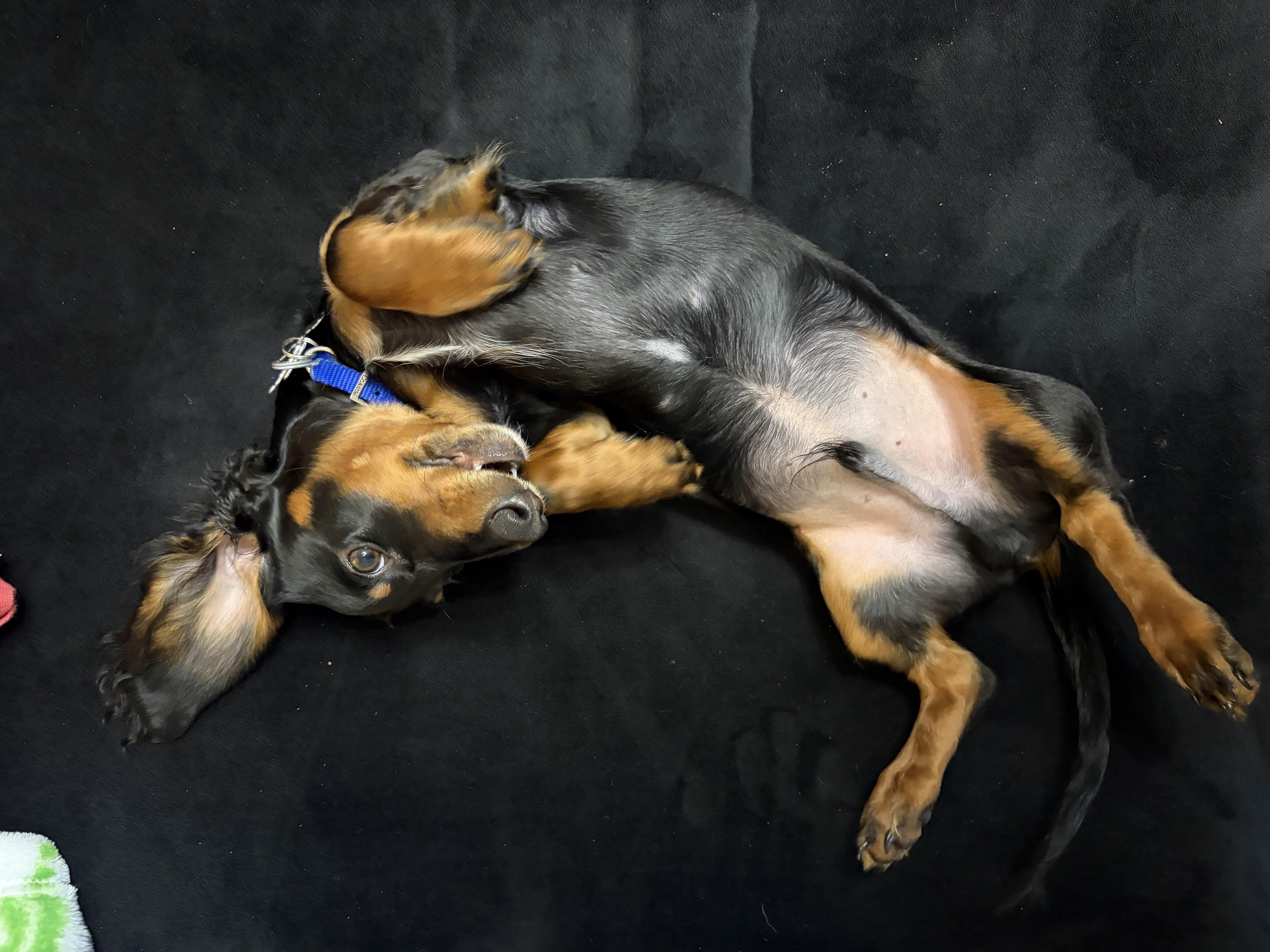 Photo Review Submission from Colby M