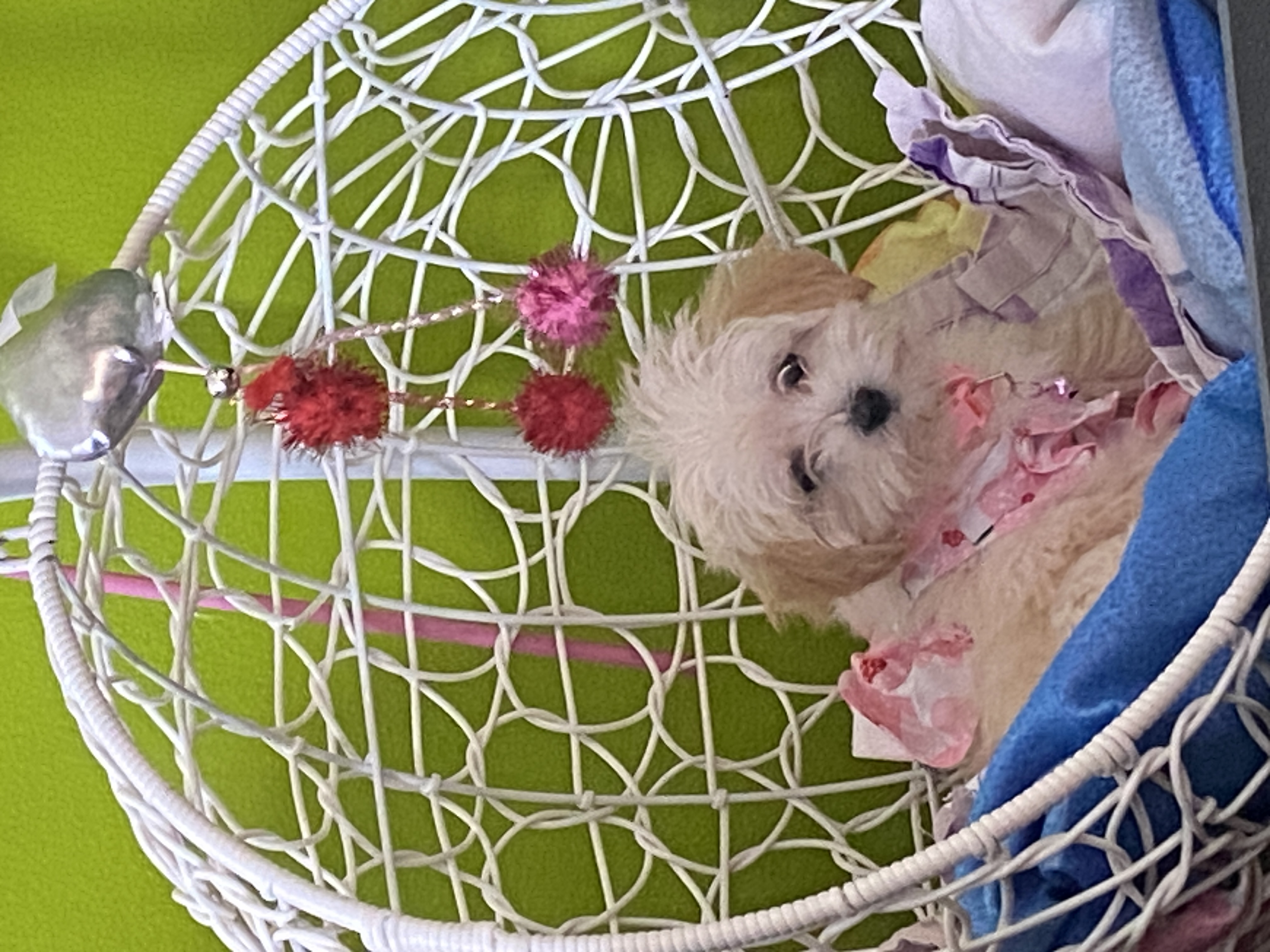 Photo Review Submission from Jason Ma