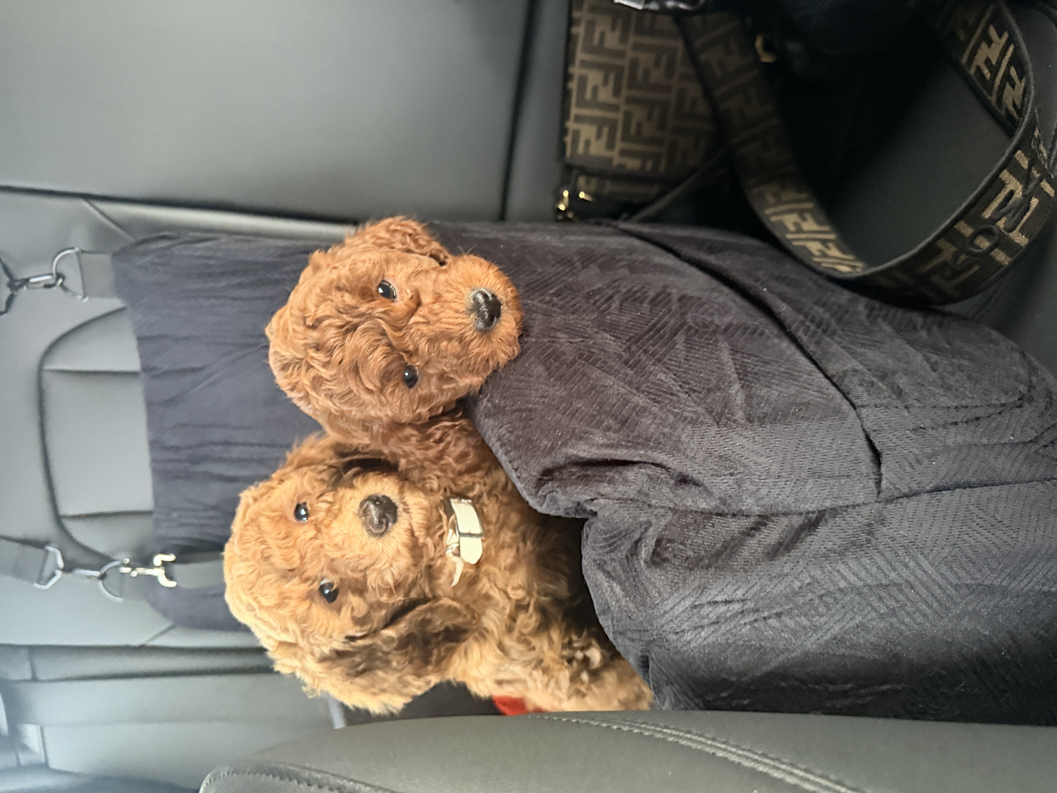 Photo Review Submission from Janice Pearson