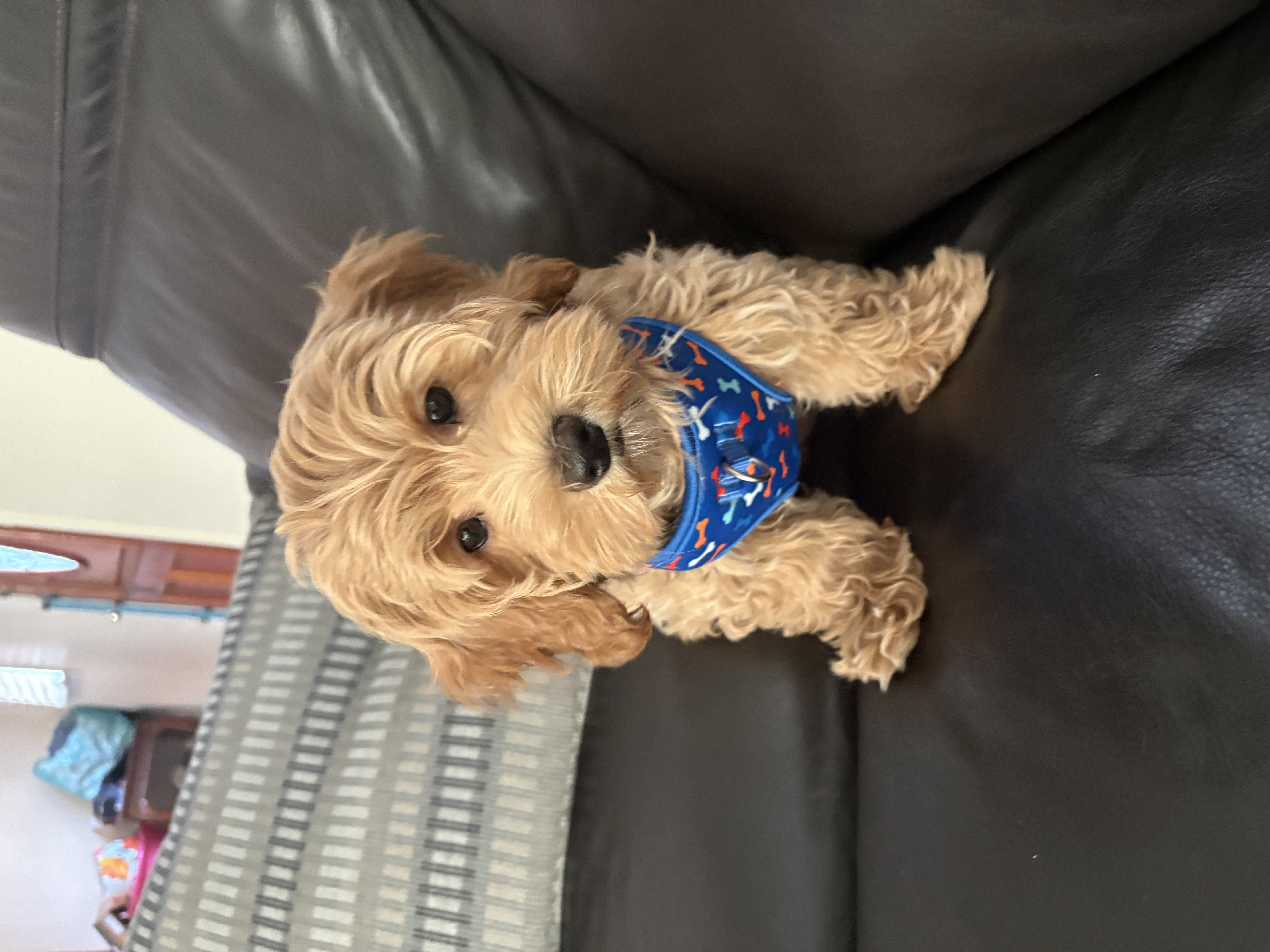 Photo Review Submission from Faye Cicci