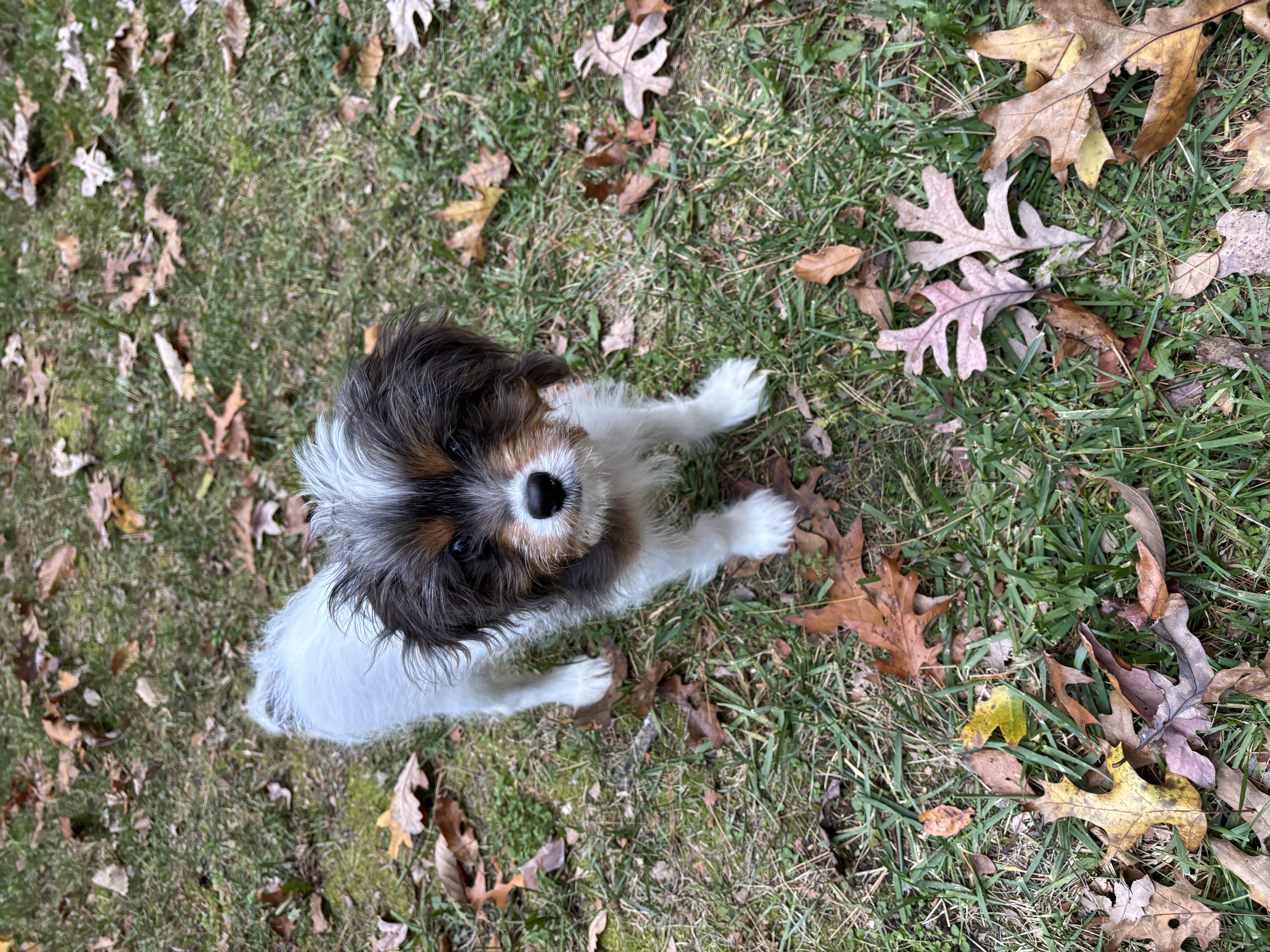 Photo Review Submission from John Smyth