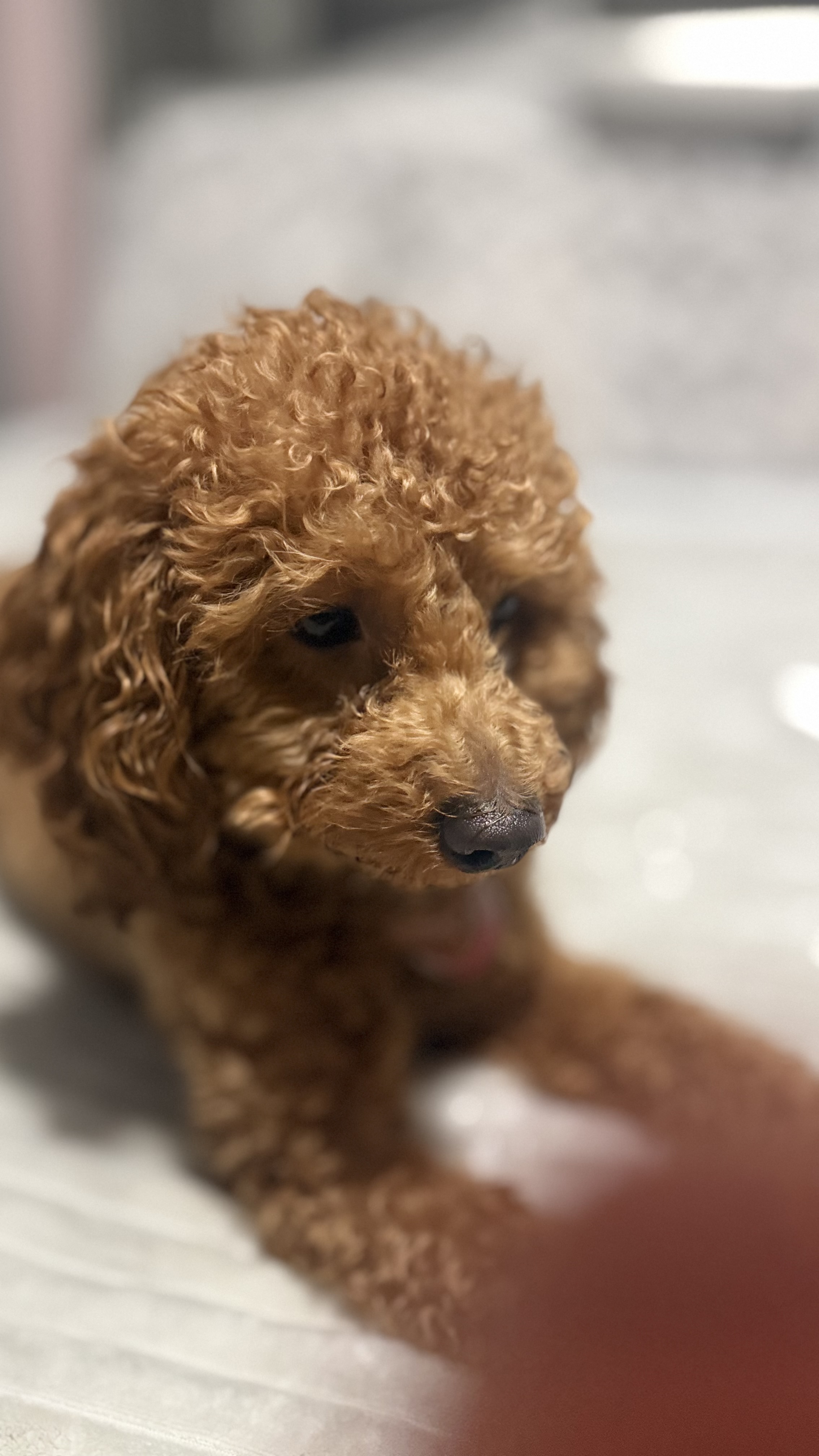 Photo Review Submission from Annak Mccalla