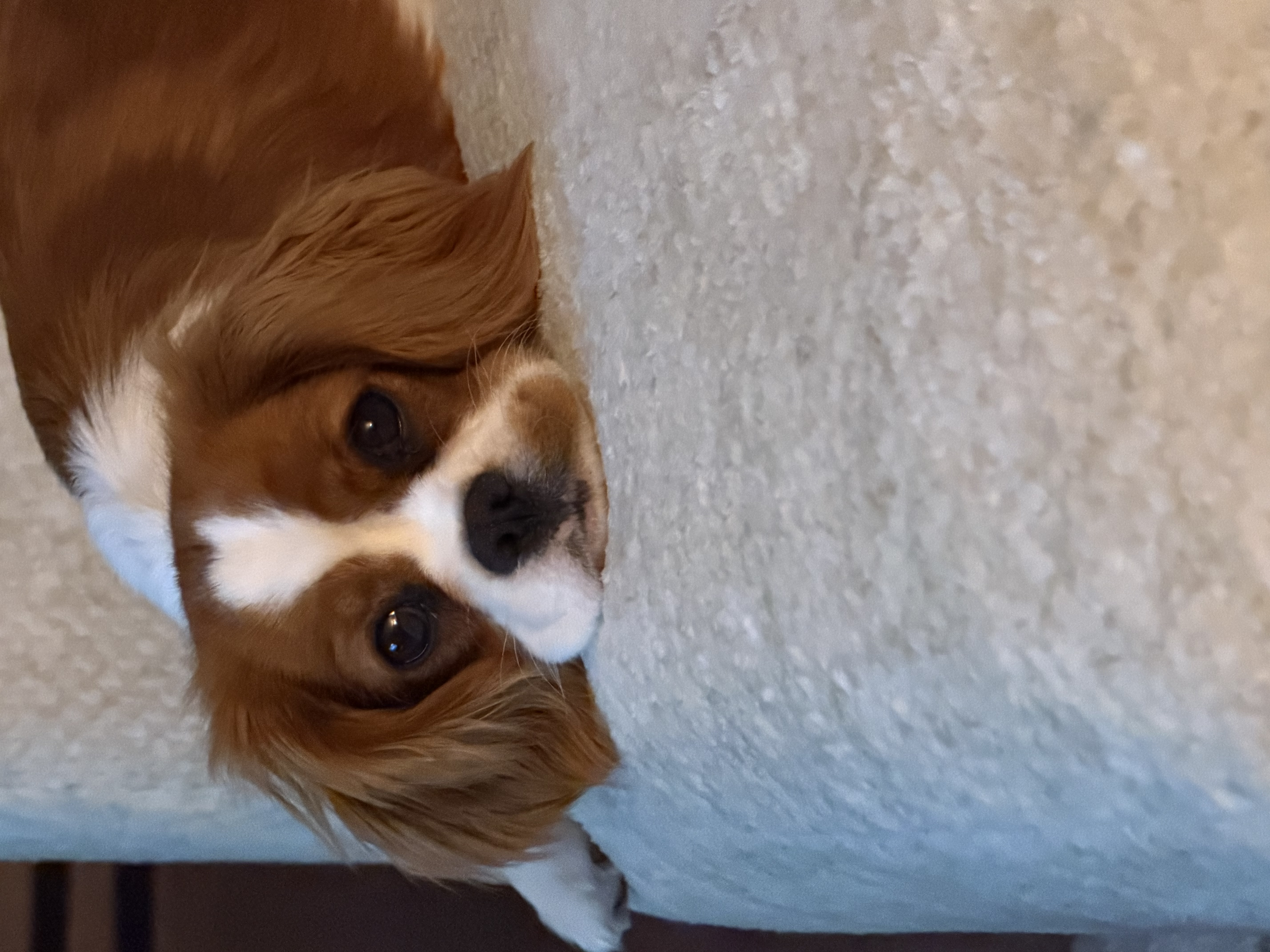 Photo Review Submission from Melissa Ganias