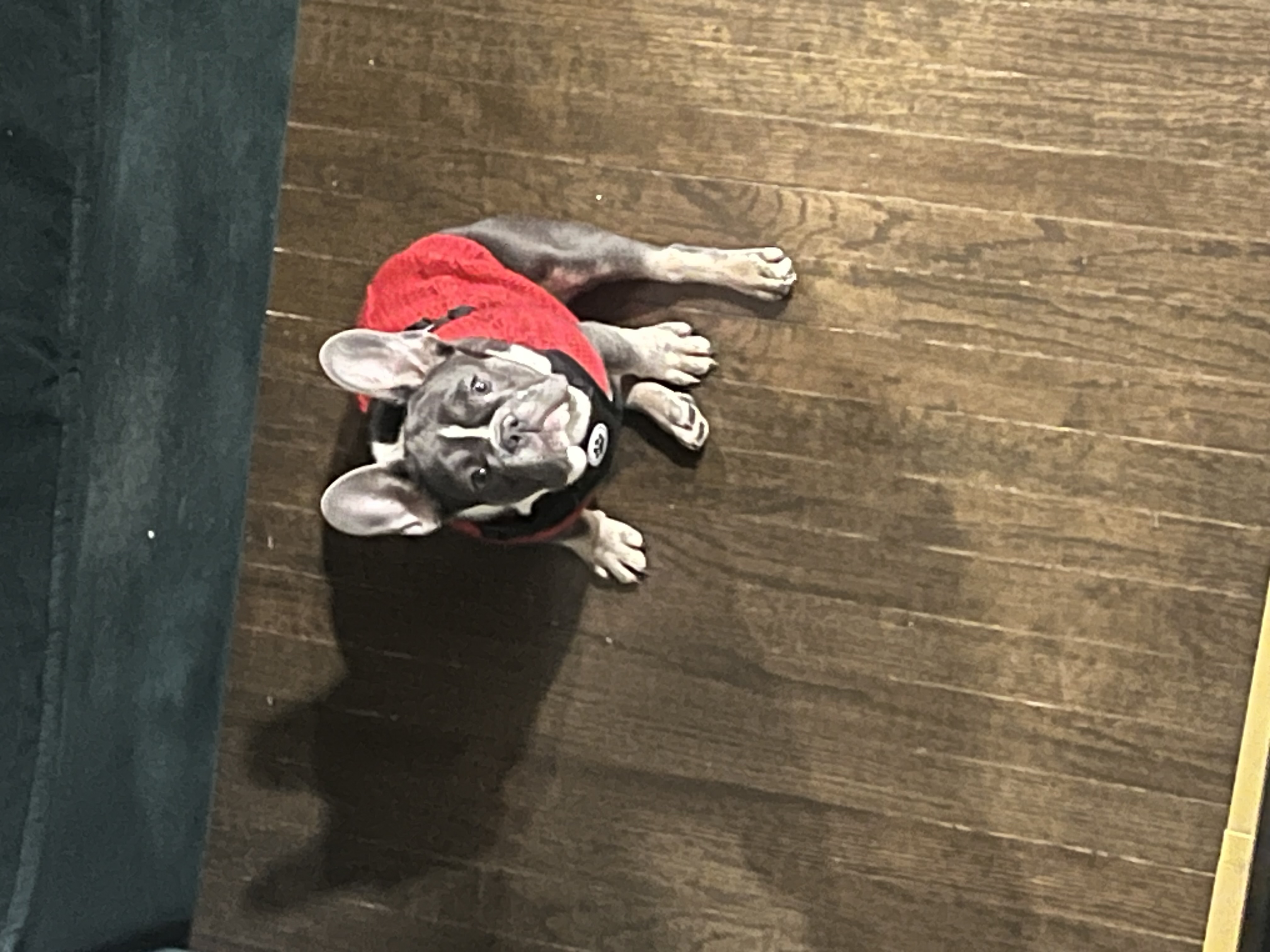 Photo Review Submission from Tyrone Holbrook