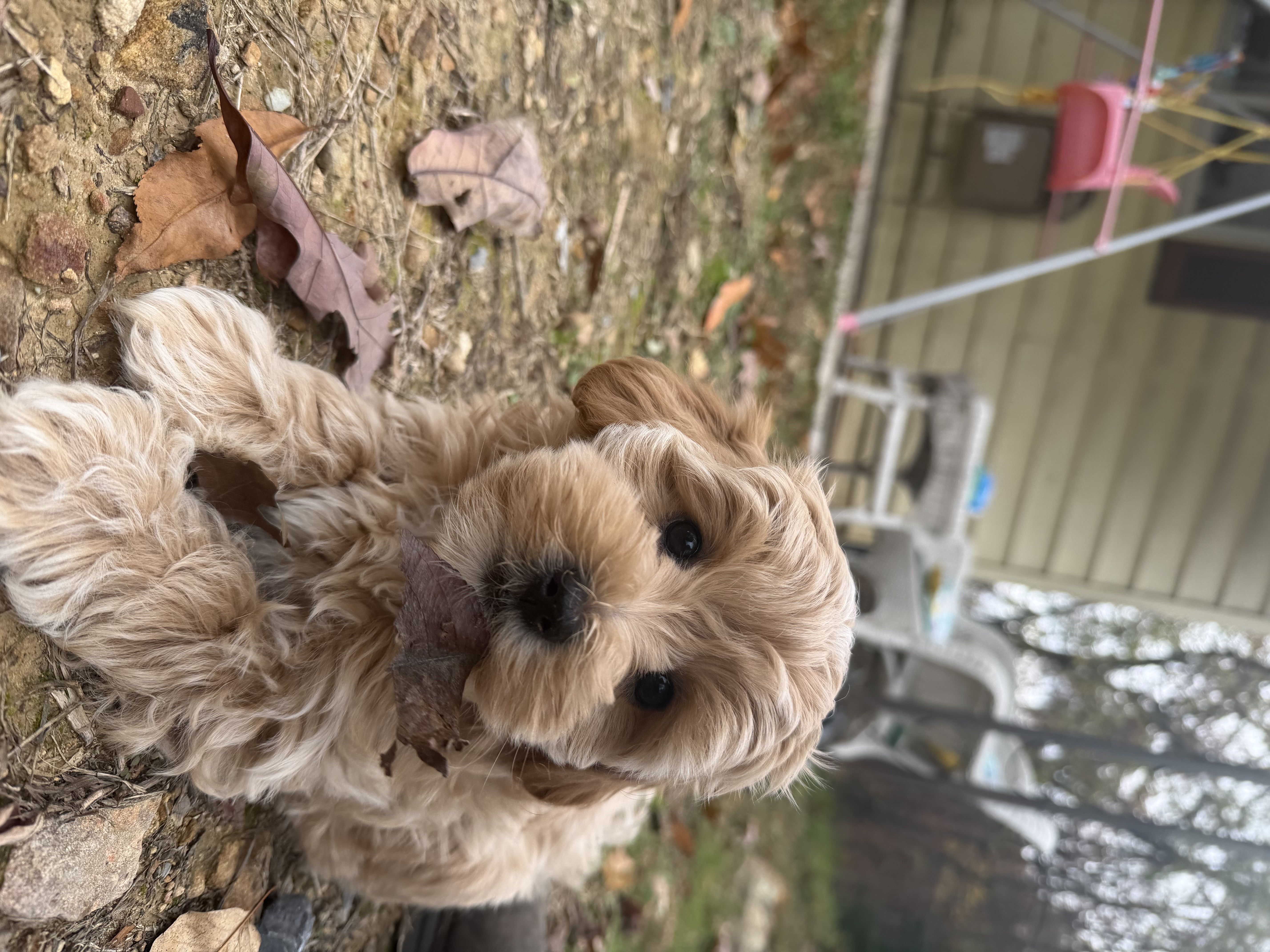 Photo Review Submission from Hallie Lynn