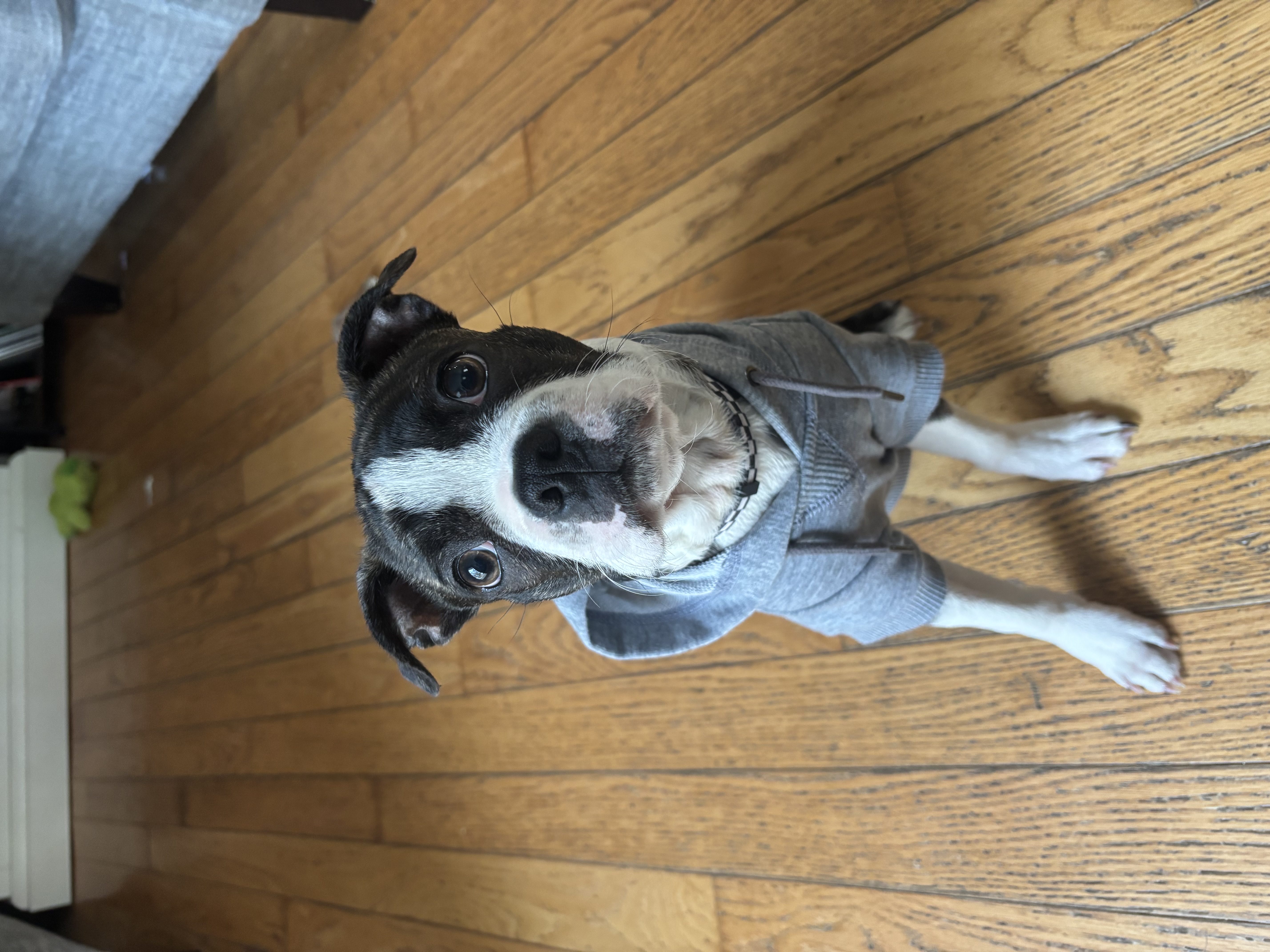 Photo Review Submission from Heather O’Neill