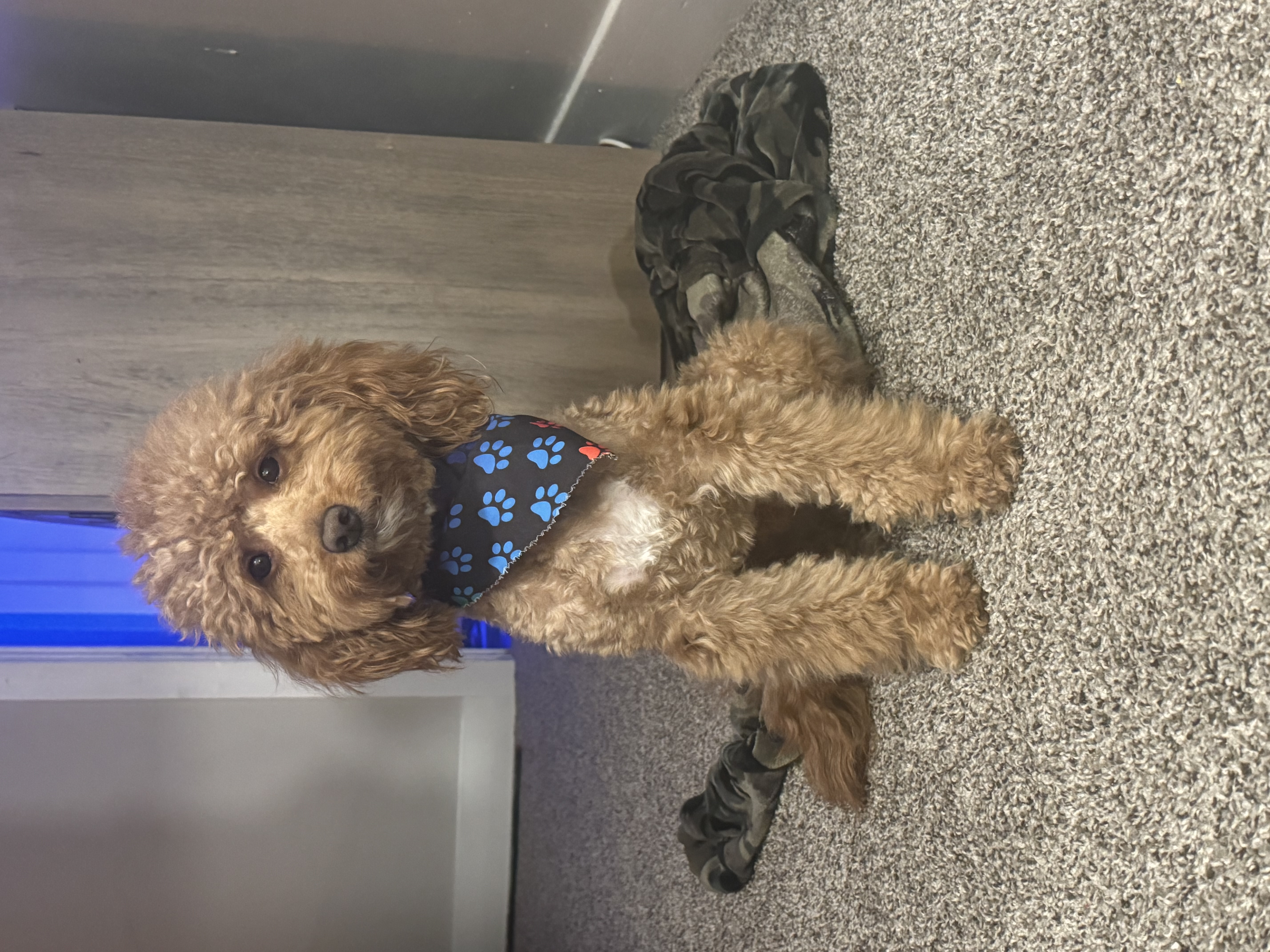 Photo Review Submission from Walter McElroy