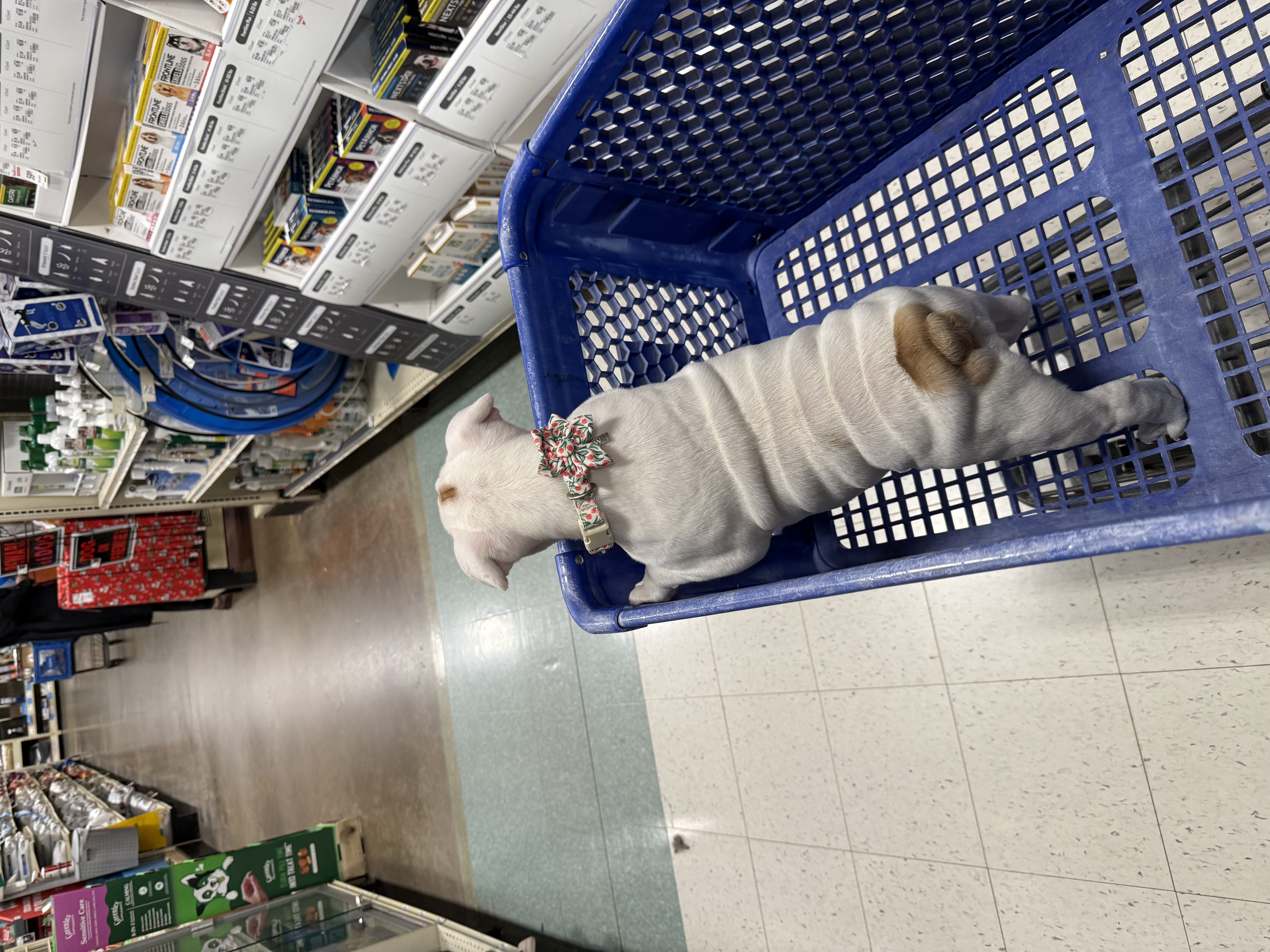 Photo Review Submission from Ashley Kussman