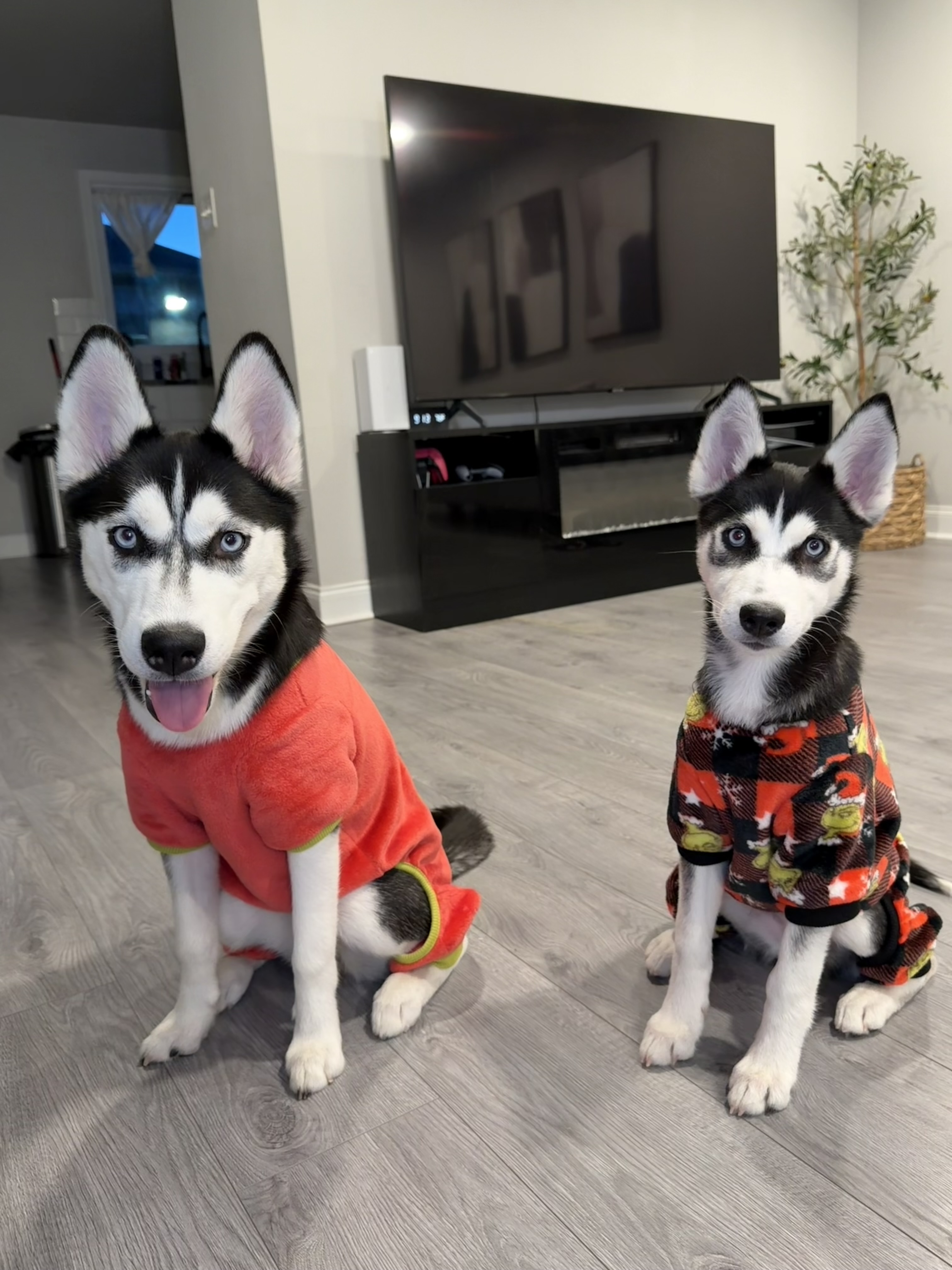 Photo Review Submission from Brianna N