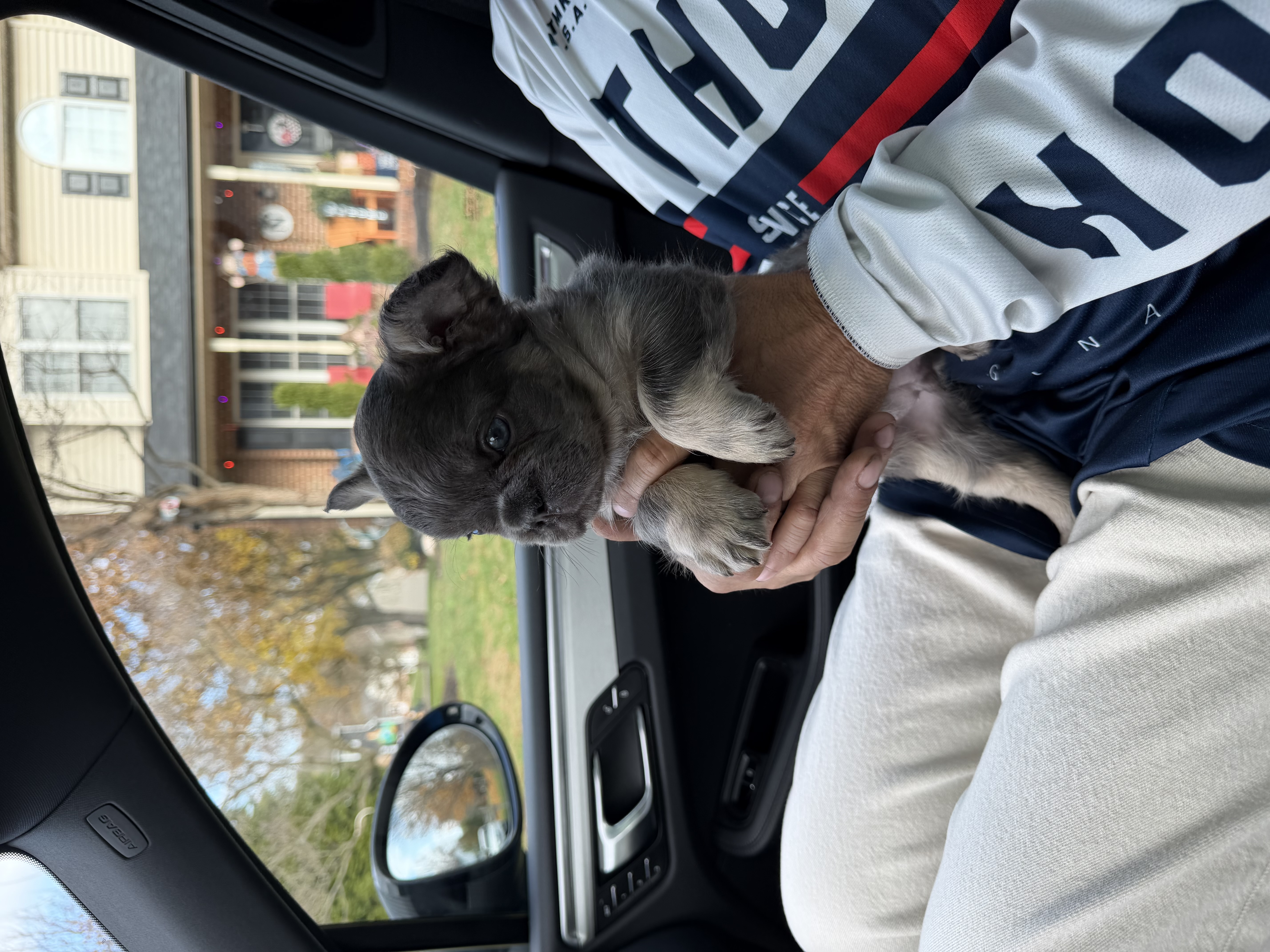 Photo Review Submission from Lisa and Jay Rapoza