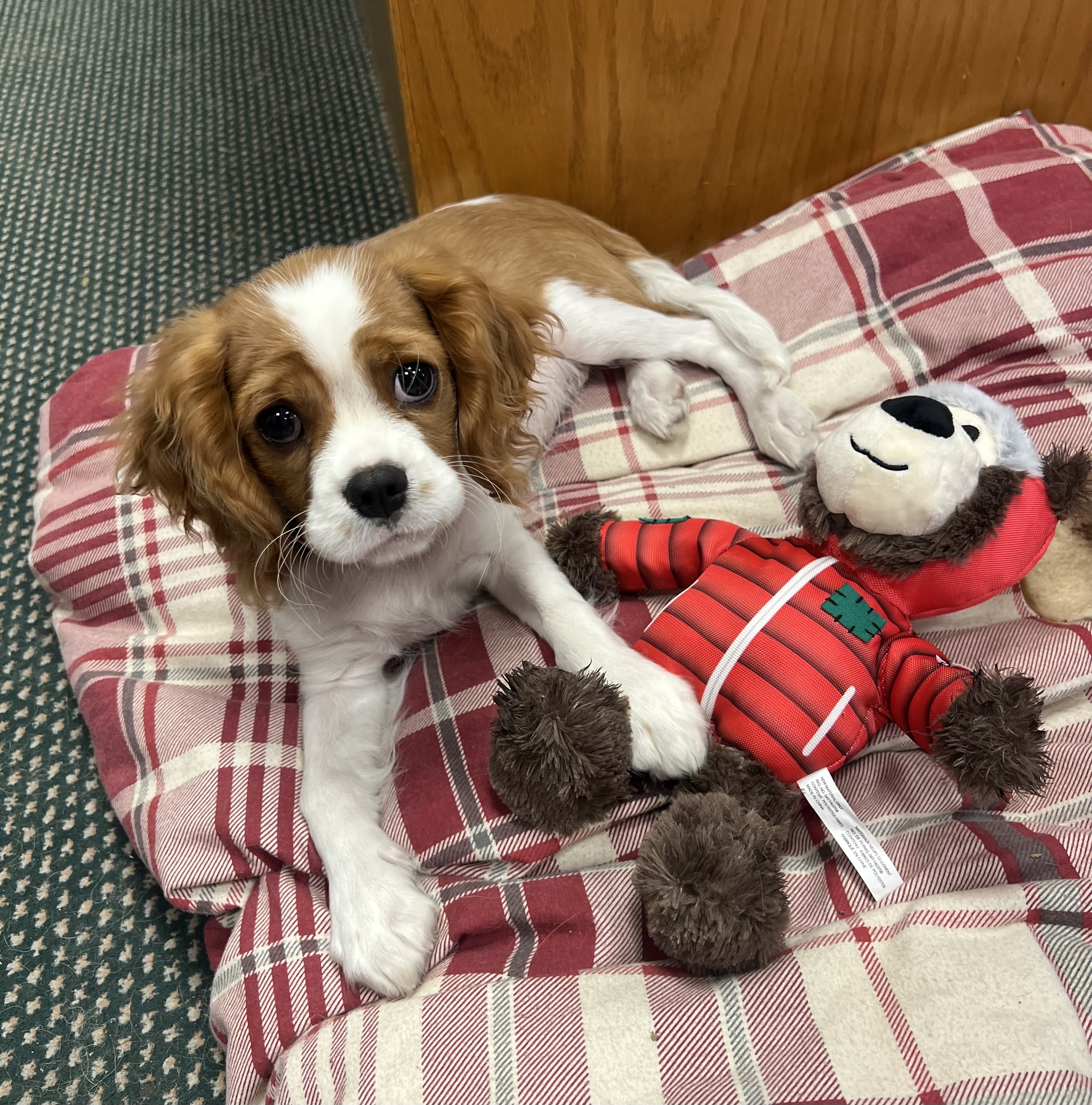 Photo Review Submission from Jennifer Gephart