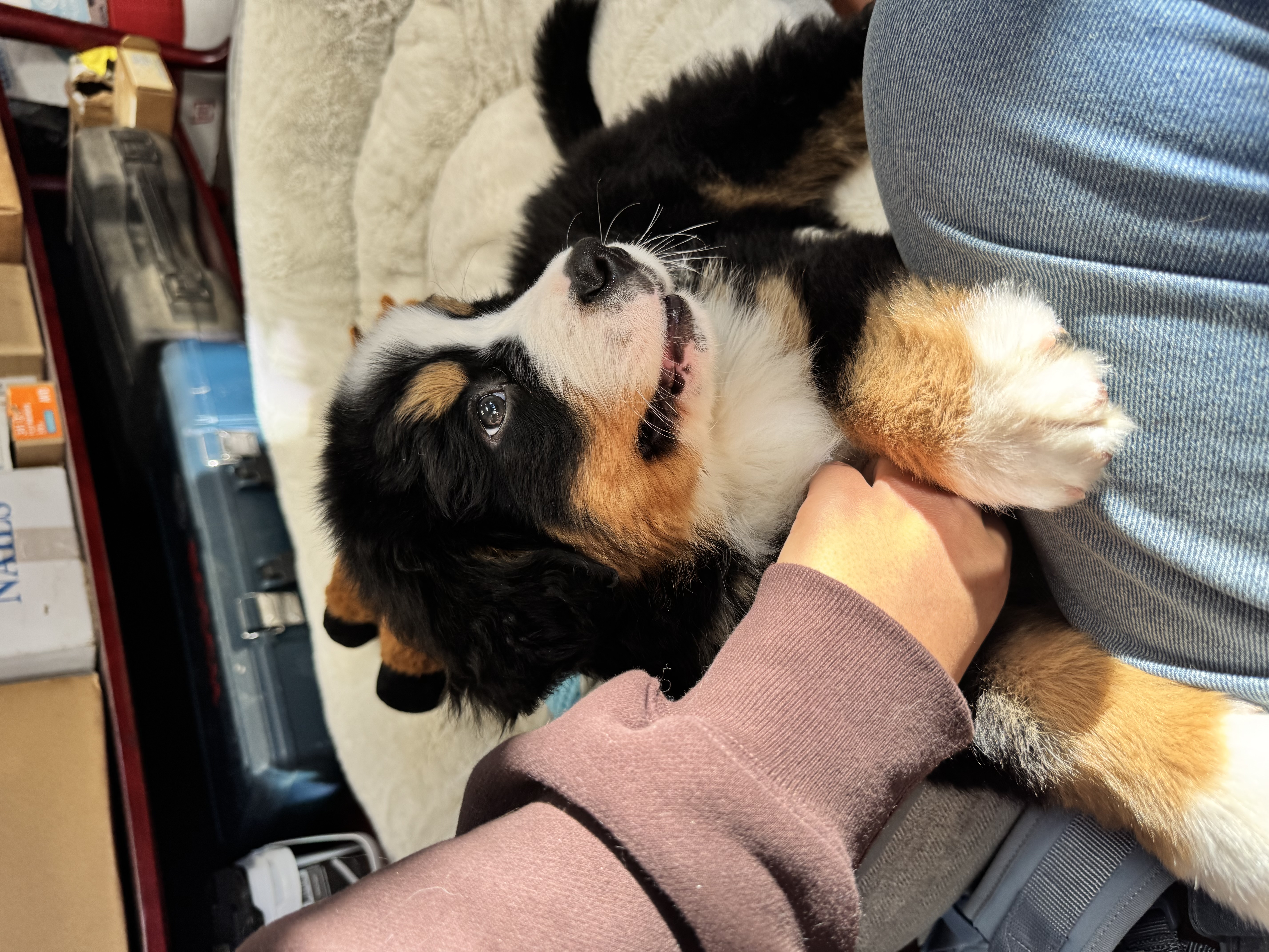 Photo Review Submission from Jasmin Reynoso