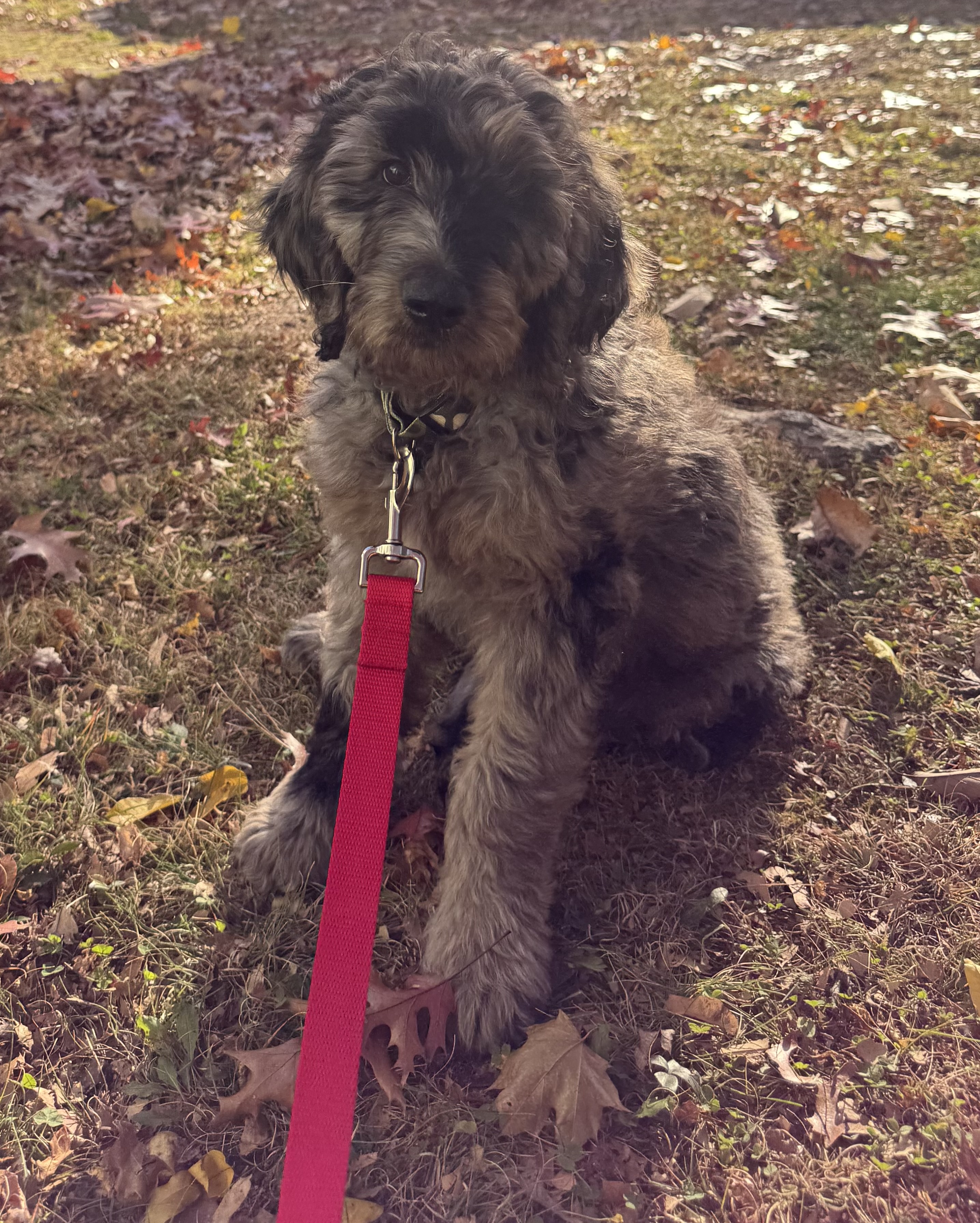 Photo Review Submission from Sara Velez