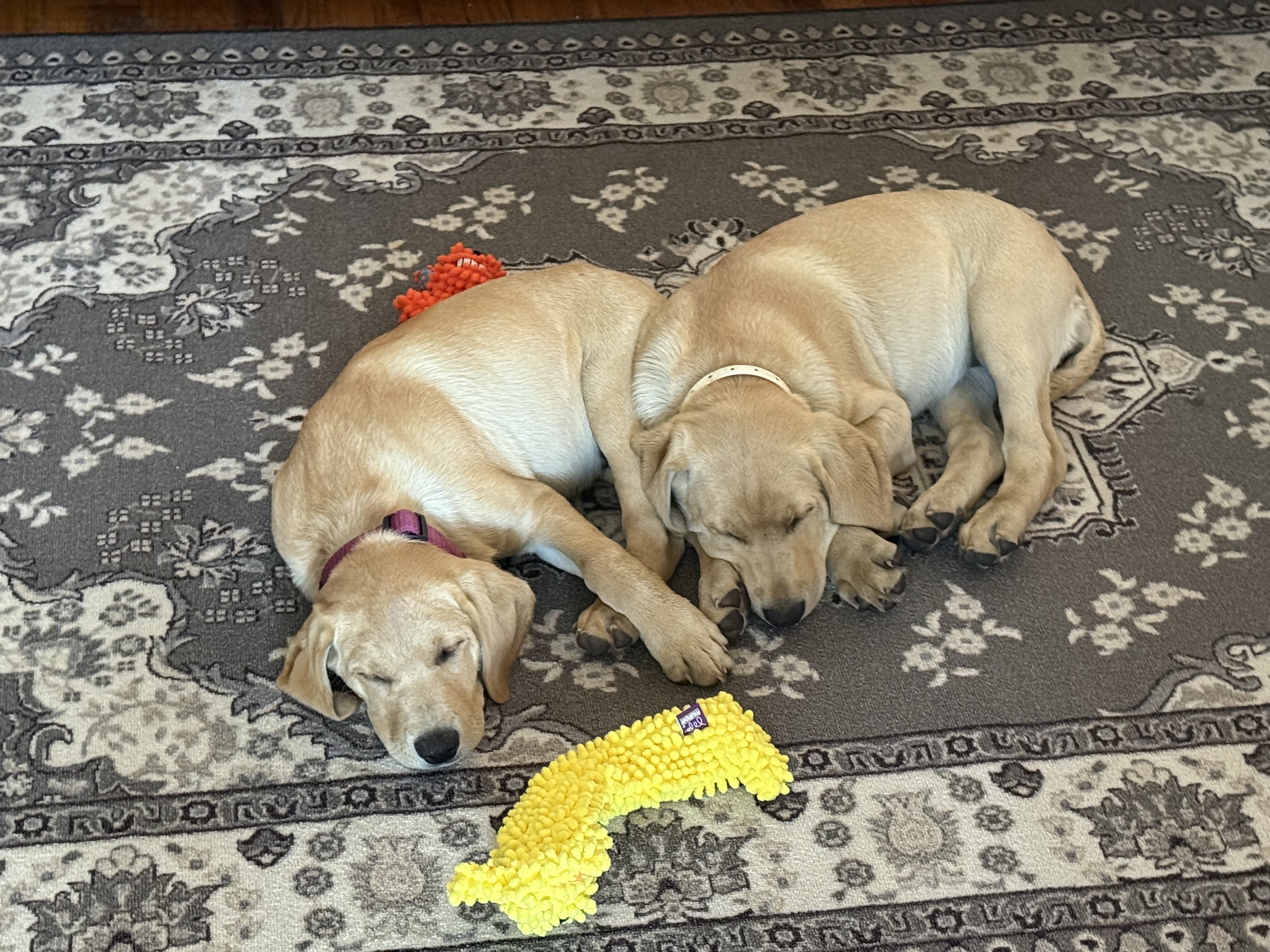 Photo Review Submission from Jerry May