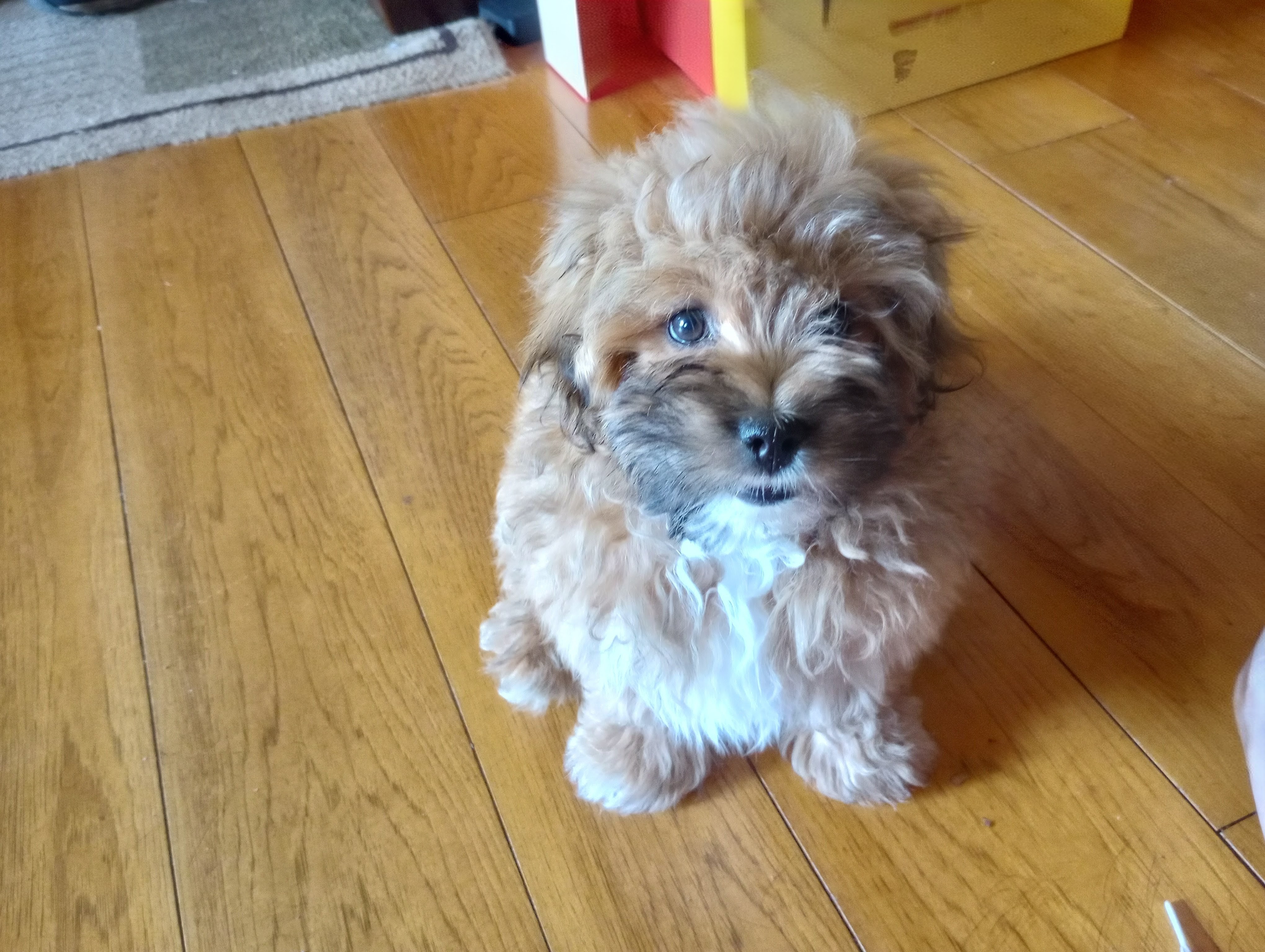 Photo Review Submission from Sherry Houser