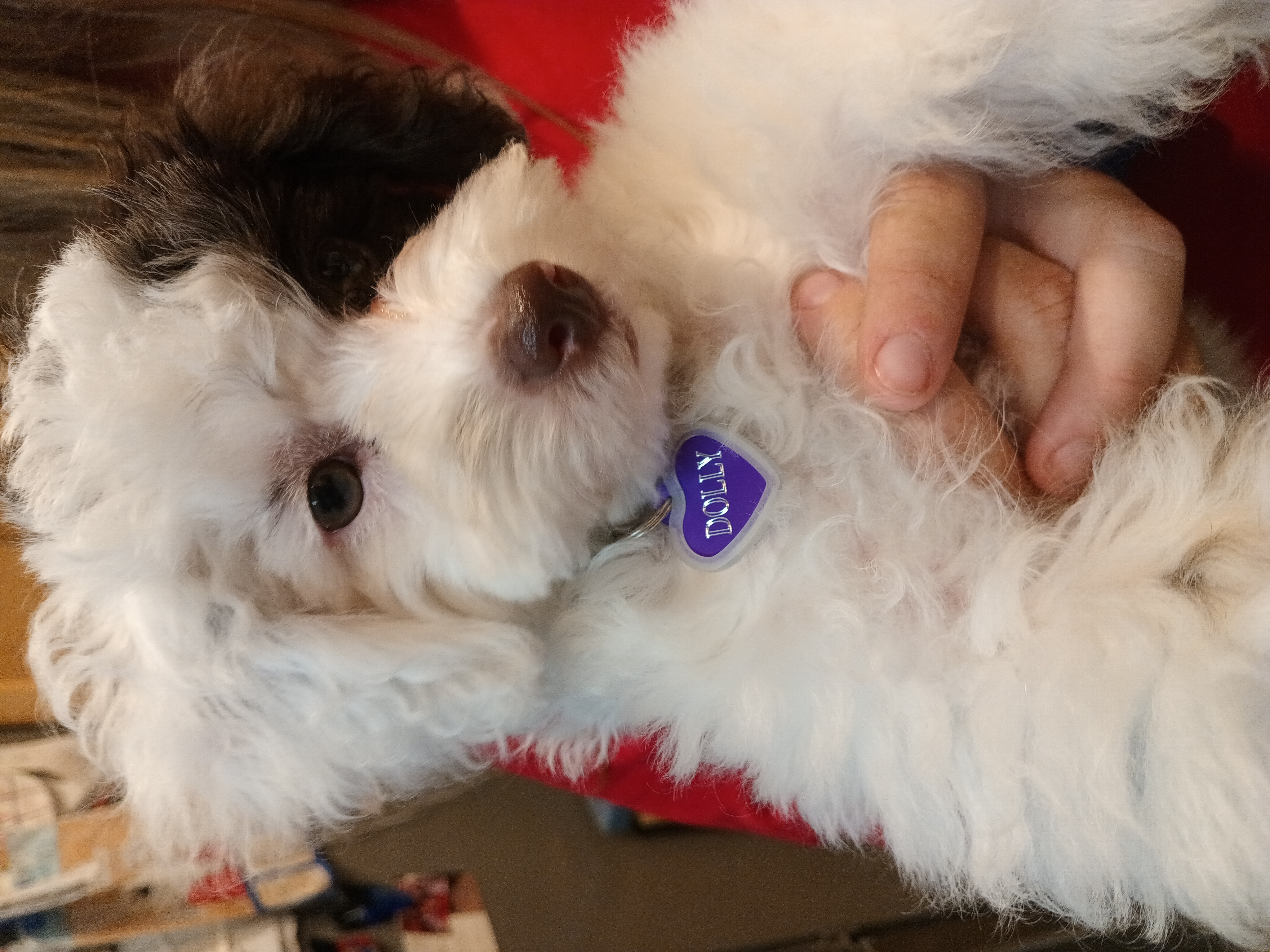 Photo Review Submission from James Koch