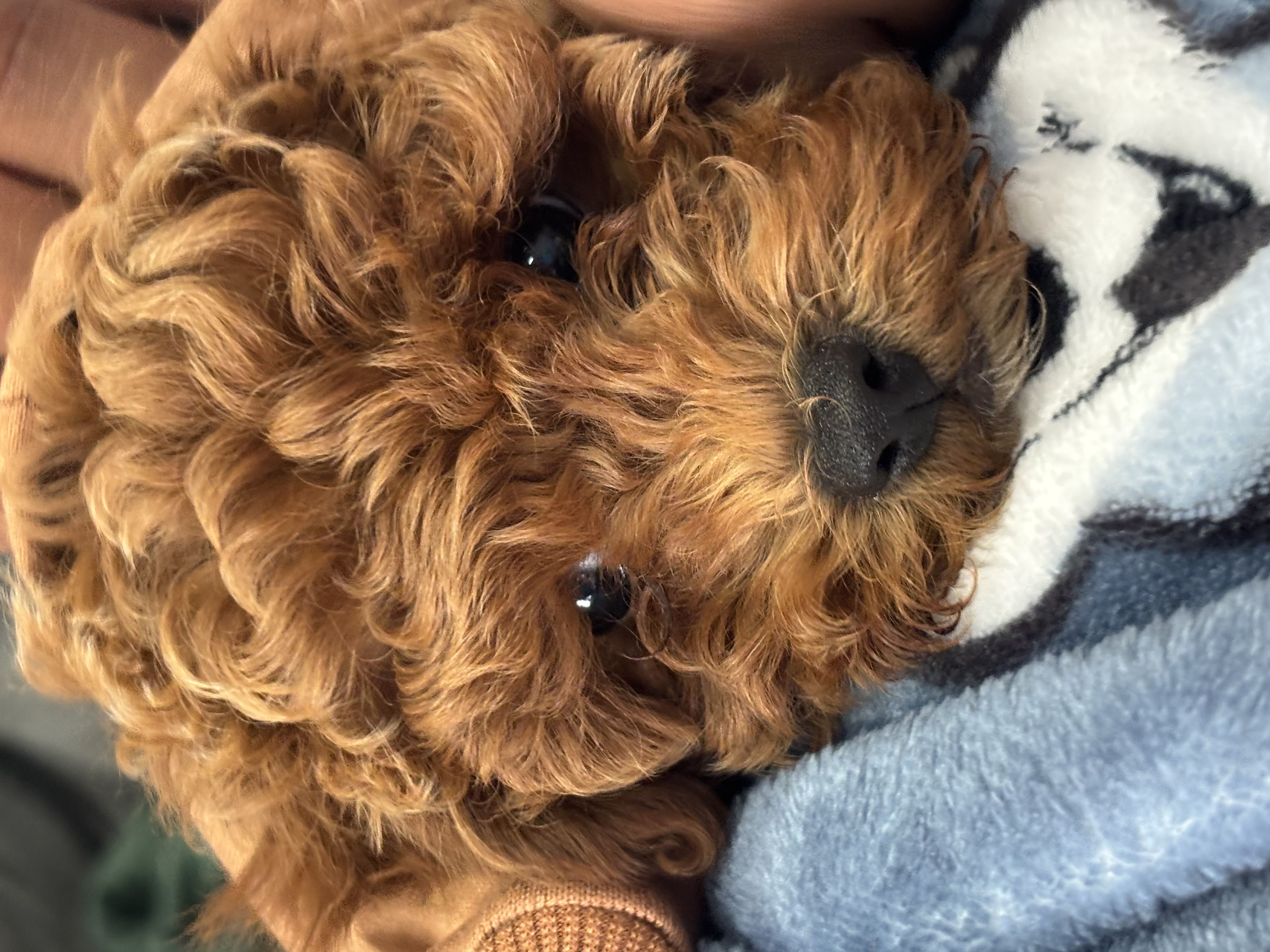 Photo Review Submission from Hakeem L