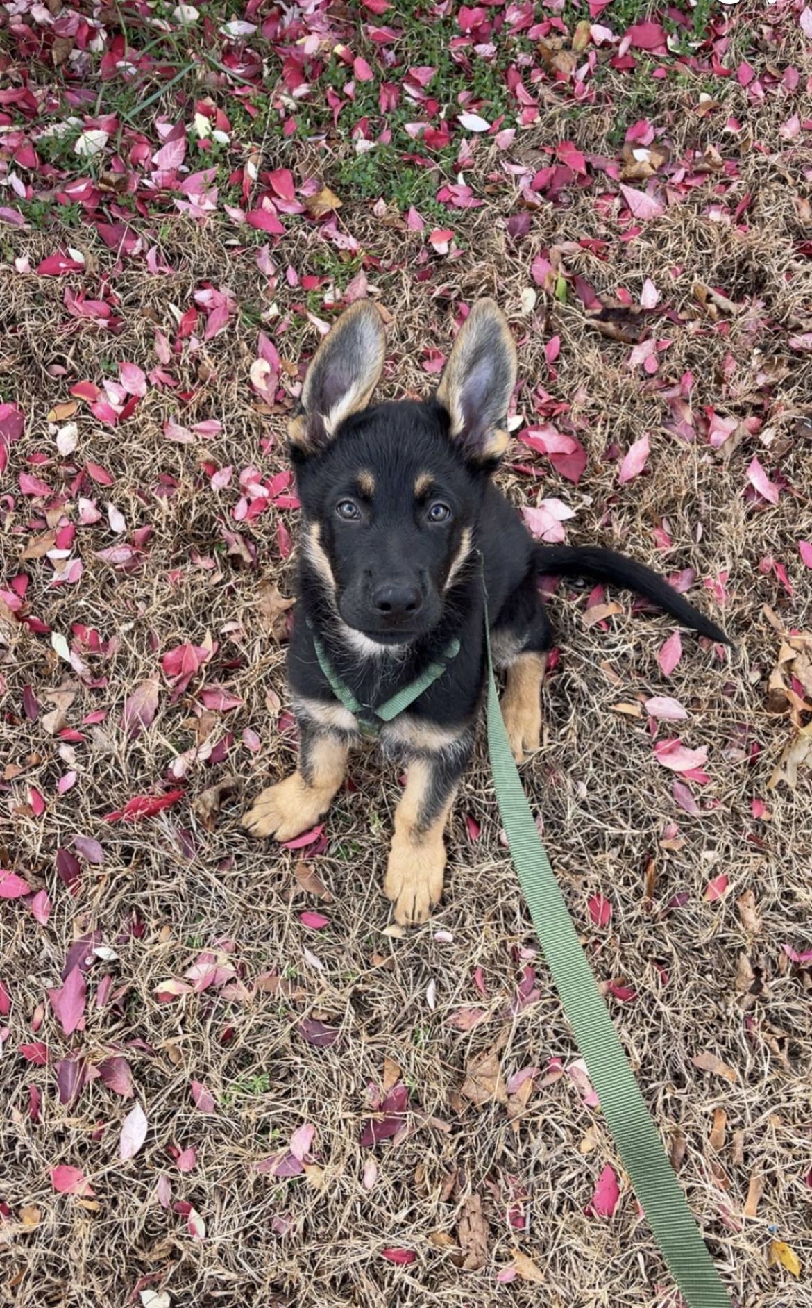 Photo Review Submission from Ravyn Turrini