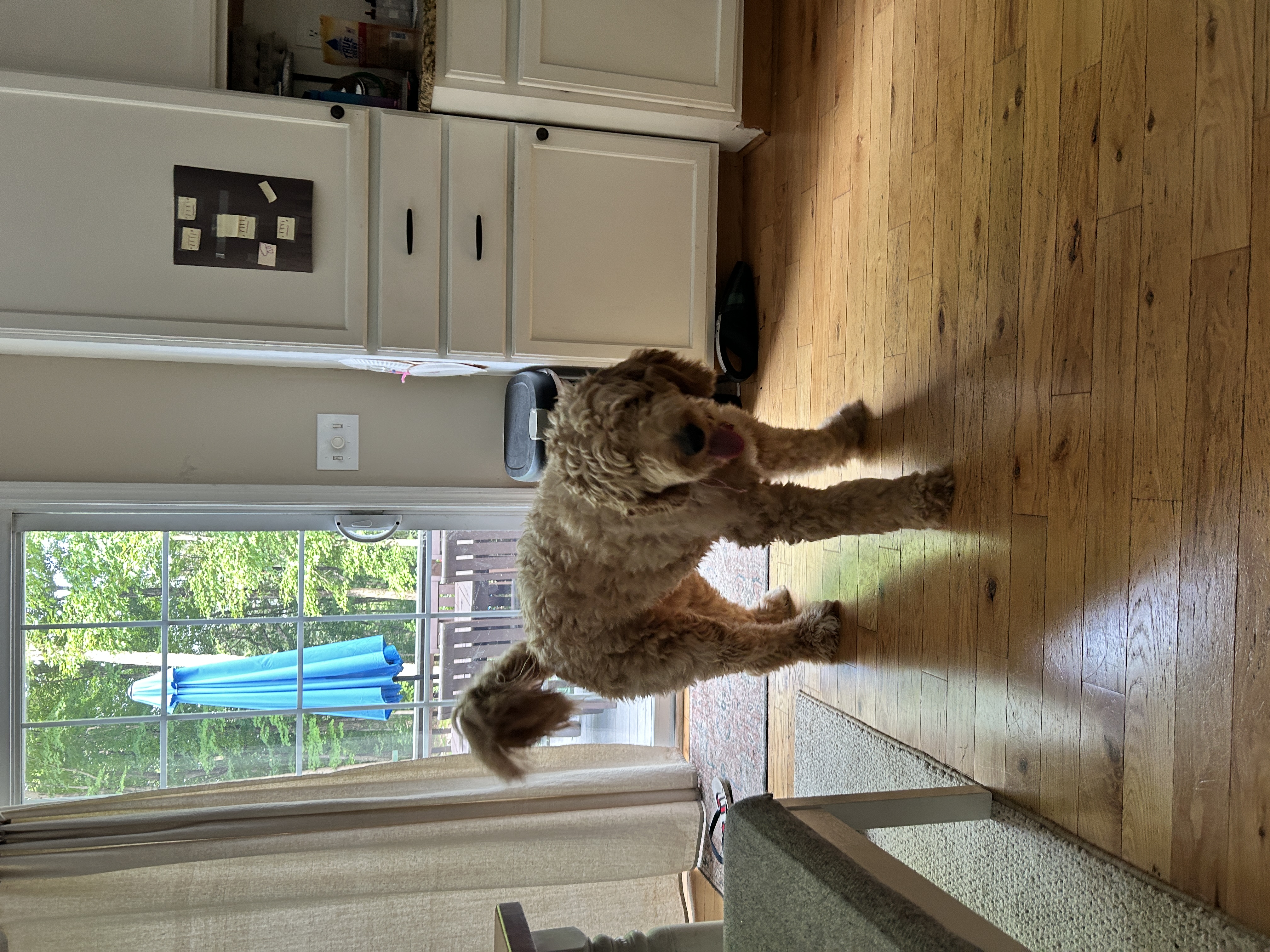 Photo Review Submission from Cindy Hetu